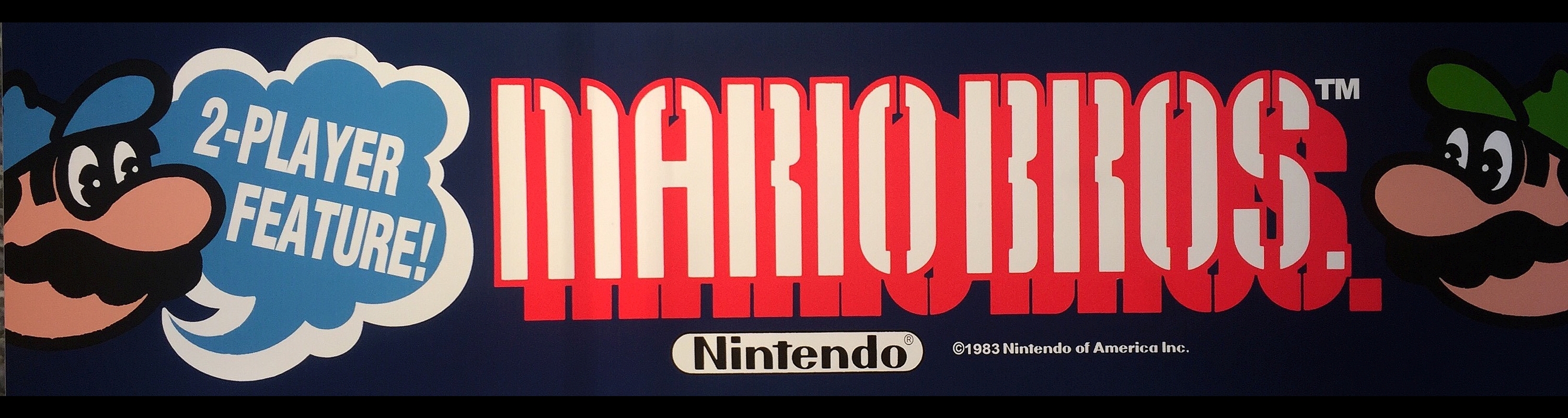 Video Game Mario Bros 3000x800