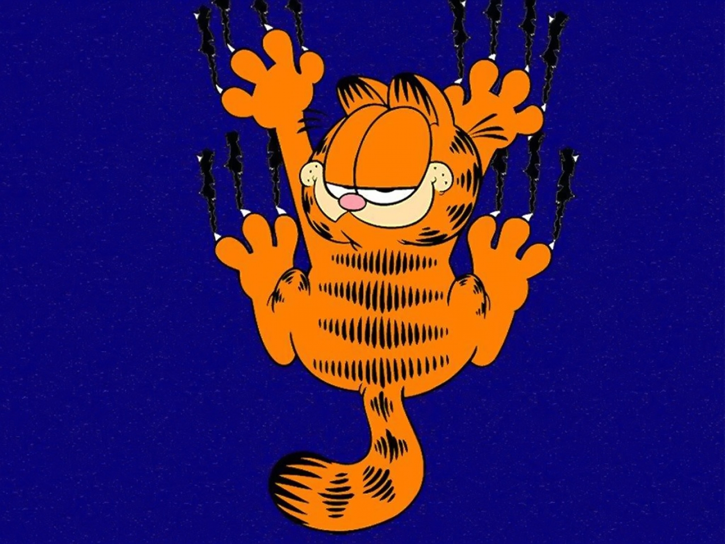 Garfield 1440x1080