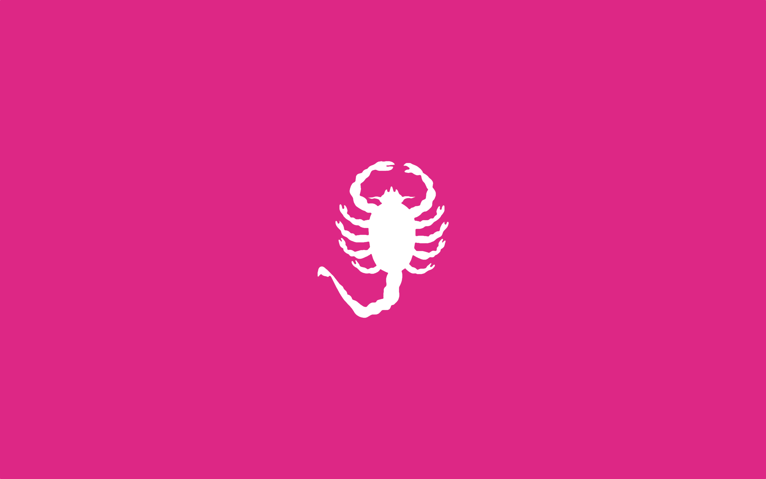 Animal Scorpion 2560x1600