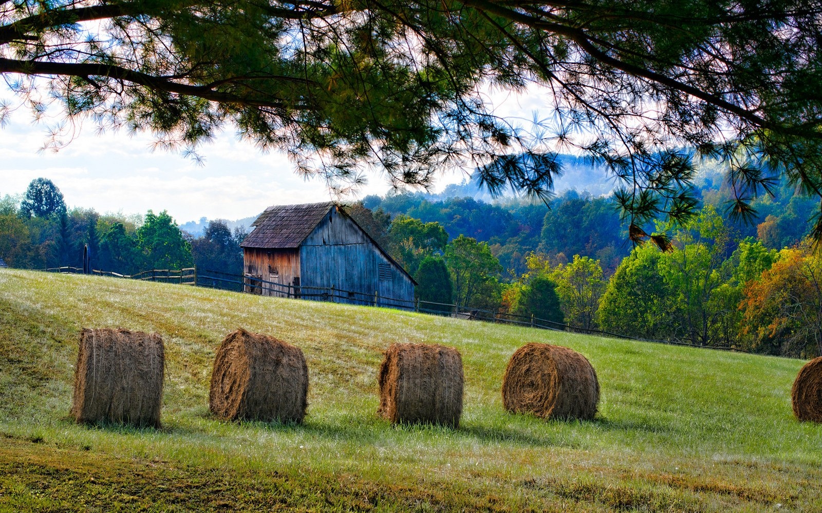 Barn Field Tree 1600x1000