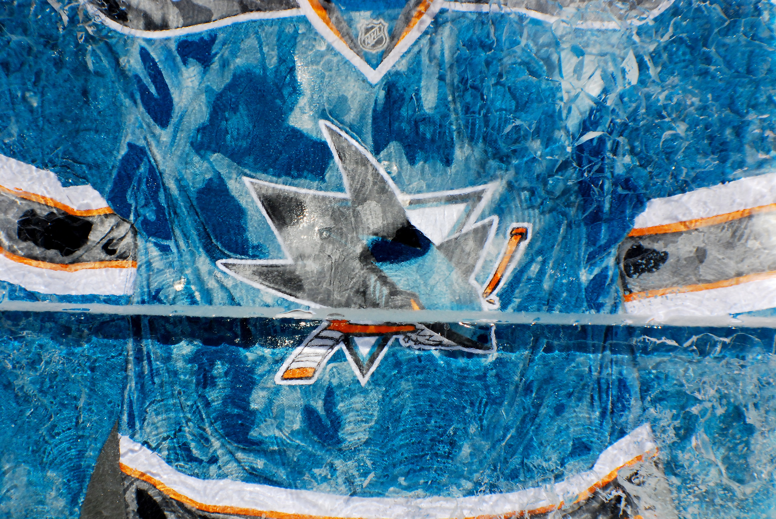 Sports San Jose Sharks 2560x1714