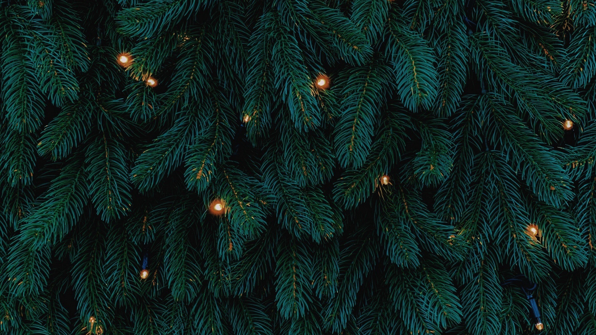Nature Trees Branch Needles Pine Trees Lights Christmas Lights 1920x1080