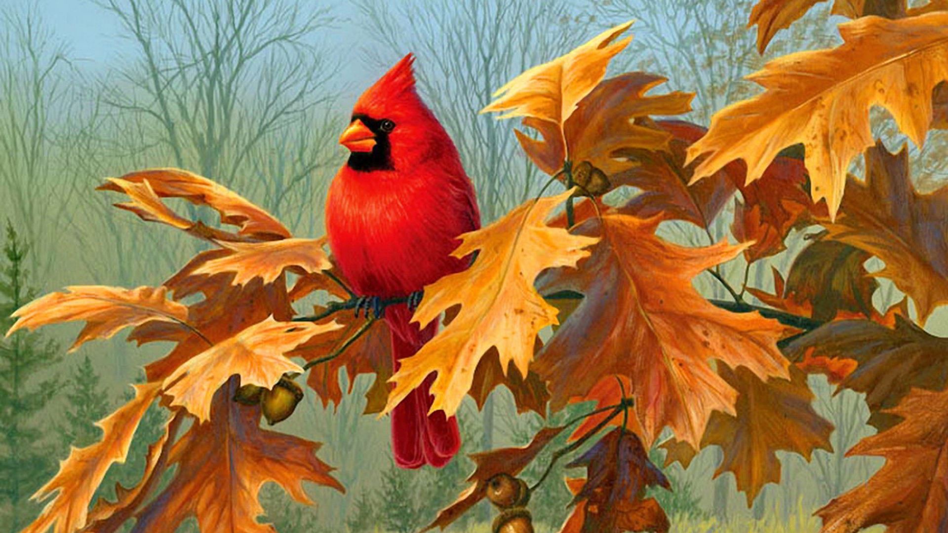 Animal Bird Cardinal Tree Leaf Branch Close Up Artistic Painting 1920x1080