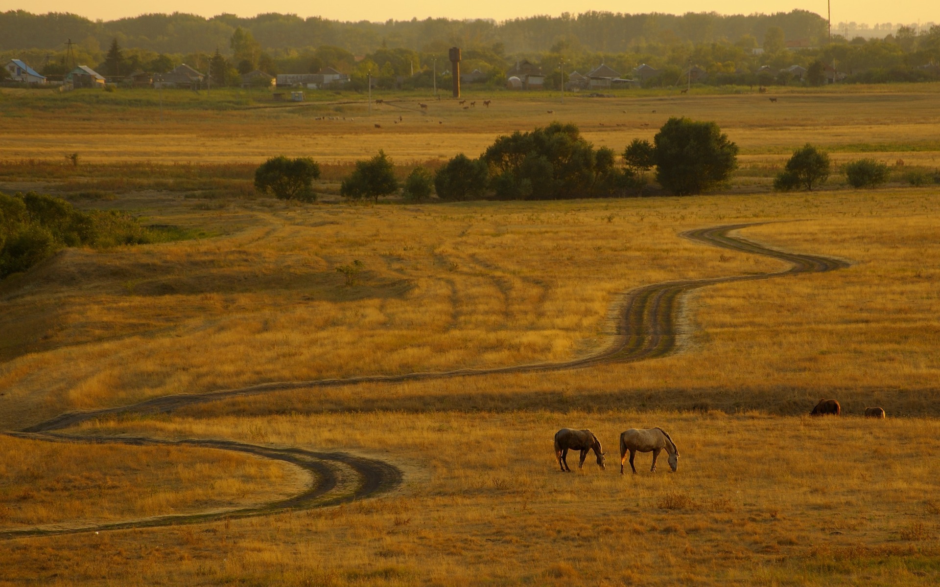 Landscape Scenic Field Pasture Farmland 1920x1200