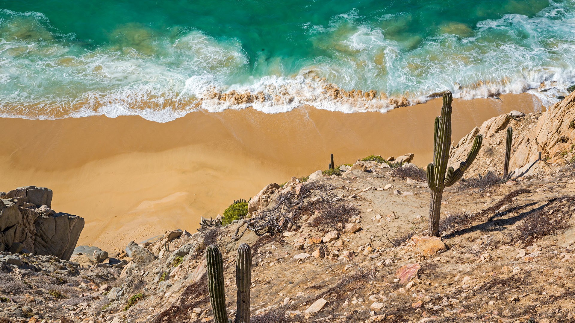 Nature Landscape Sea Water Cactus Rocks Waves Sand Beach Pacific Ocean Mexico 1920x1080