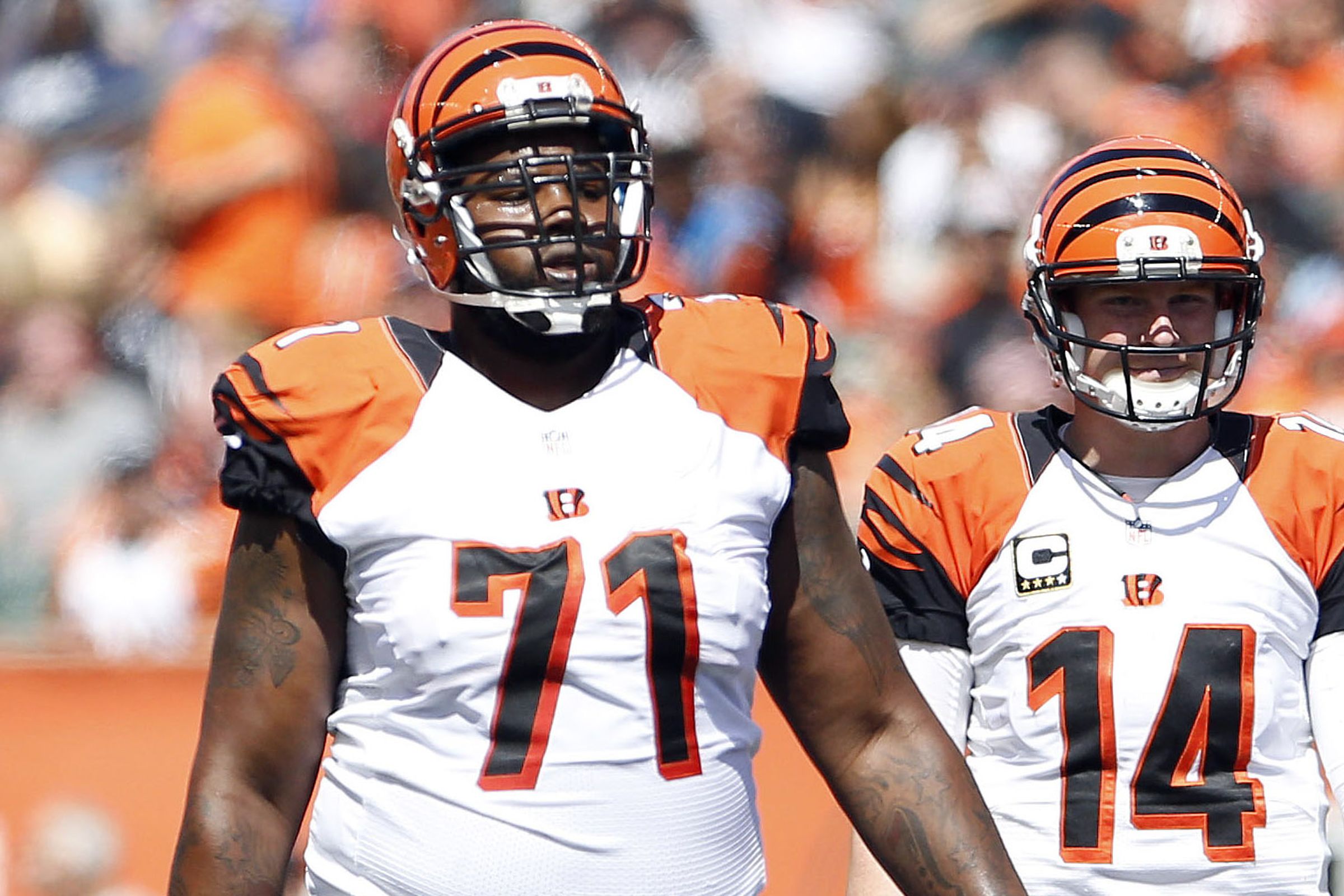 Sports Cincinnati Bengals 2400x1600