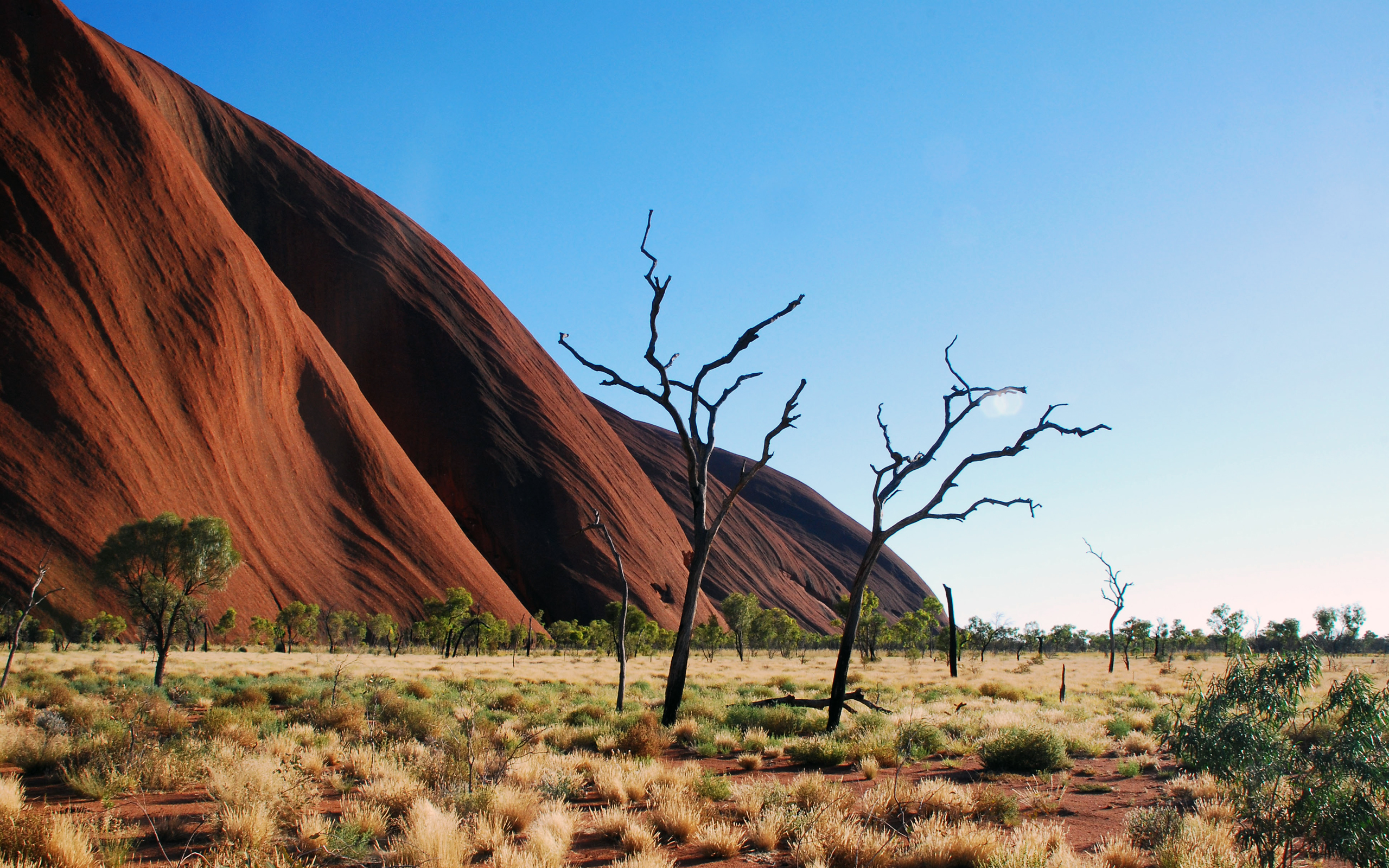 Australia Monument Rock Blue Sky Shrub Surreal 2560x1600