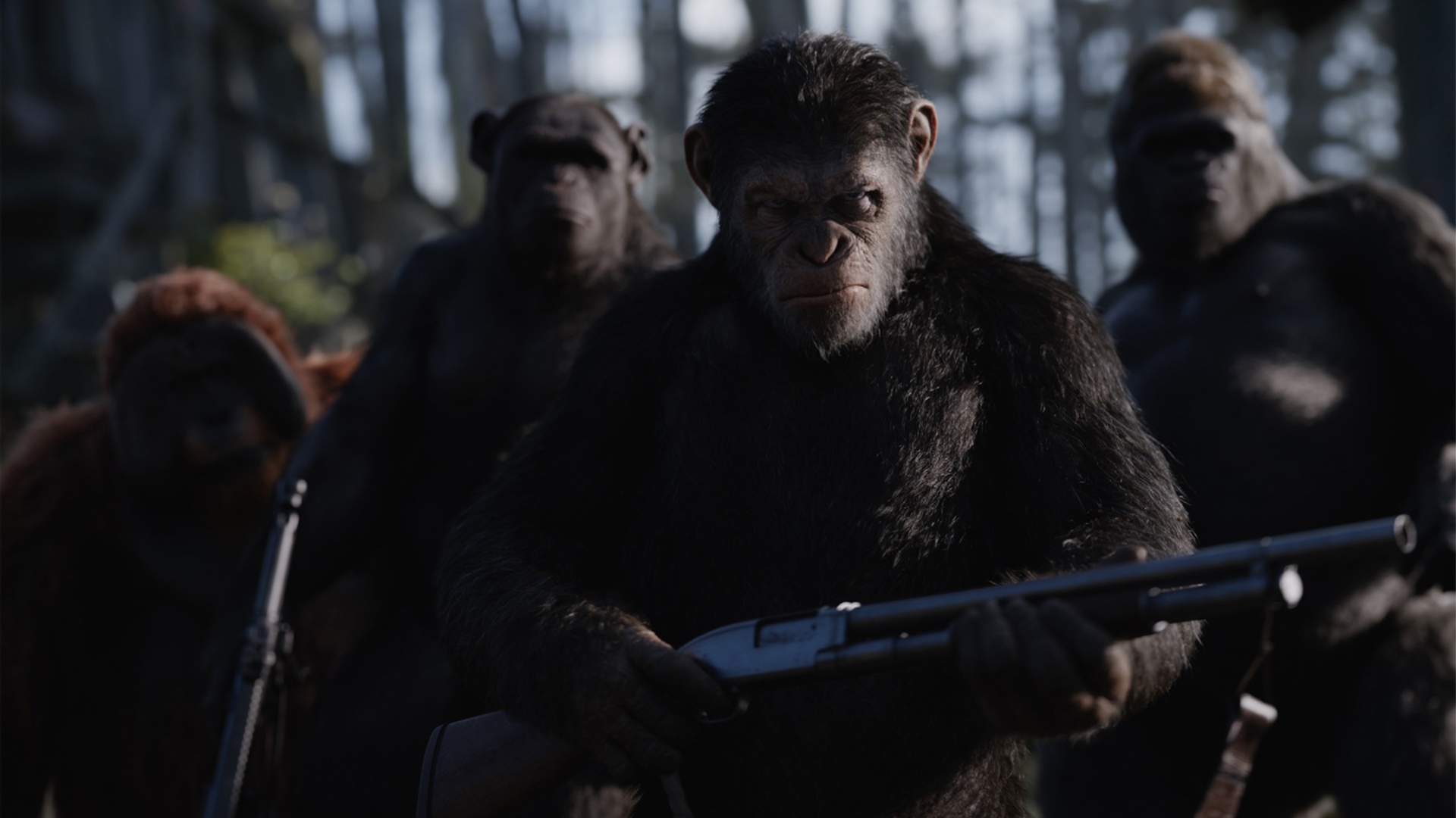 War For The Planet Of The Apes Caesar Planet Of The Apes 1920x1080