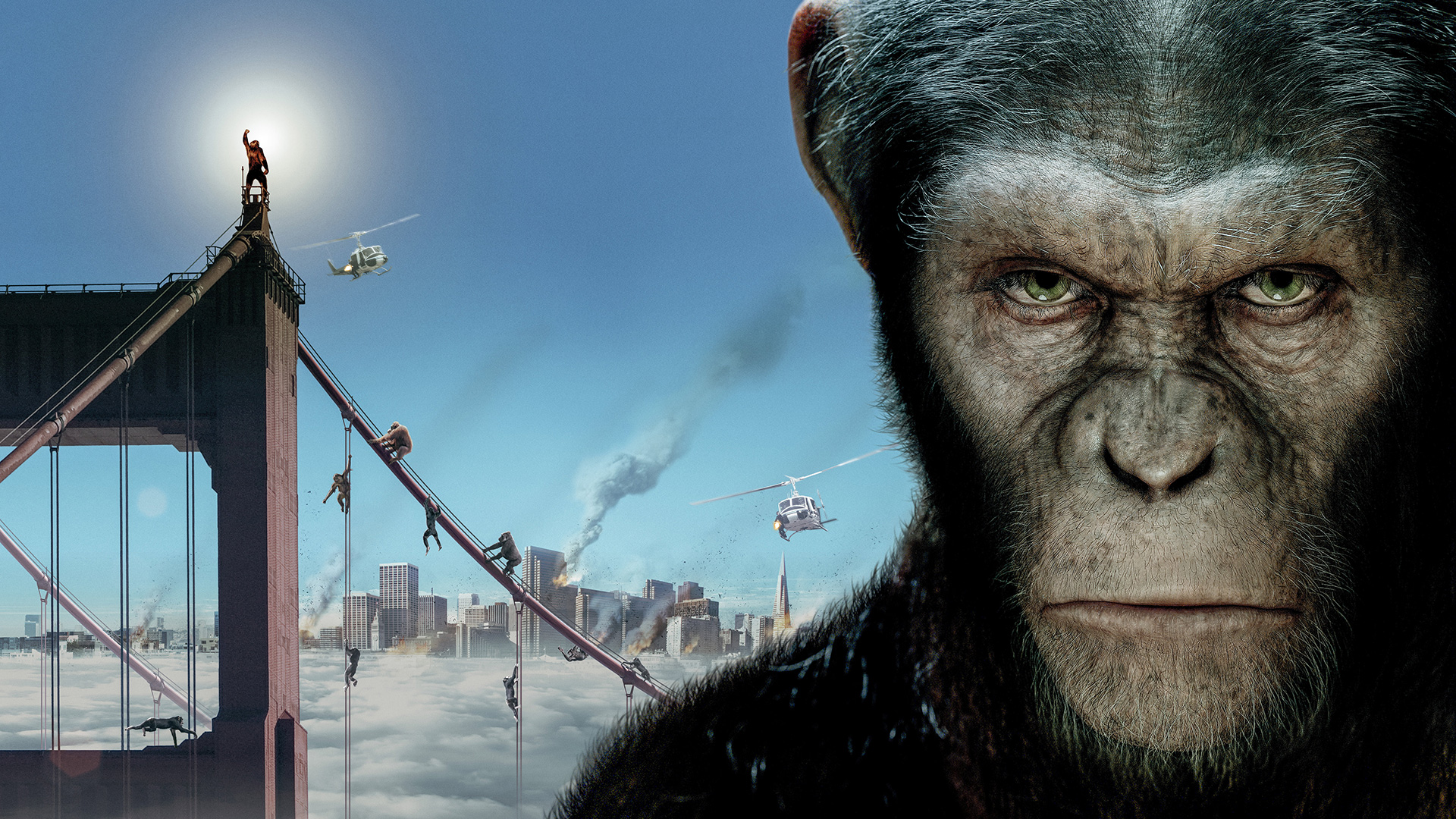Movie Rise Of The Planet Of The Apes 1920x1080