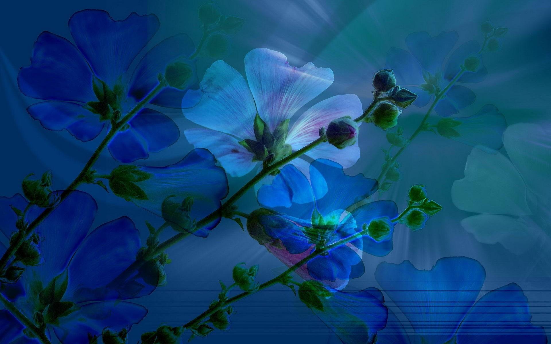 Flower Blue Digital Art Stem Leaf Spring Blue Flower 1920x1200