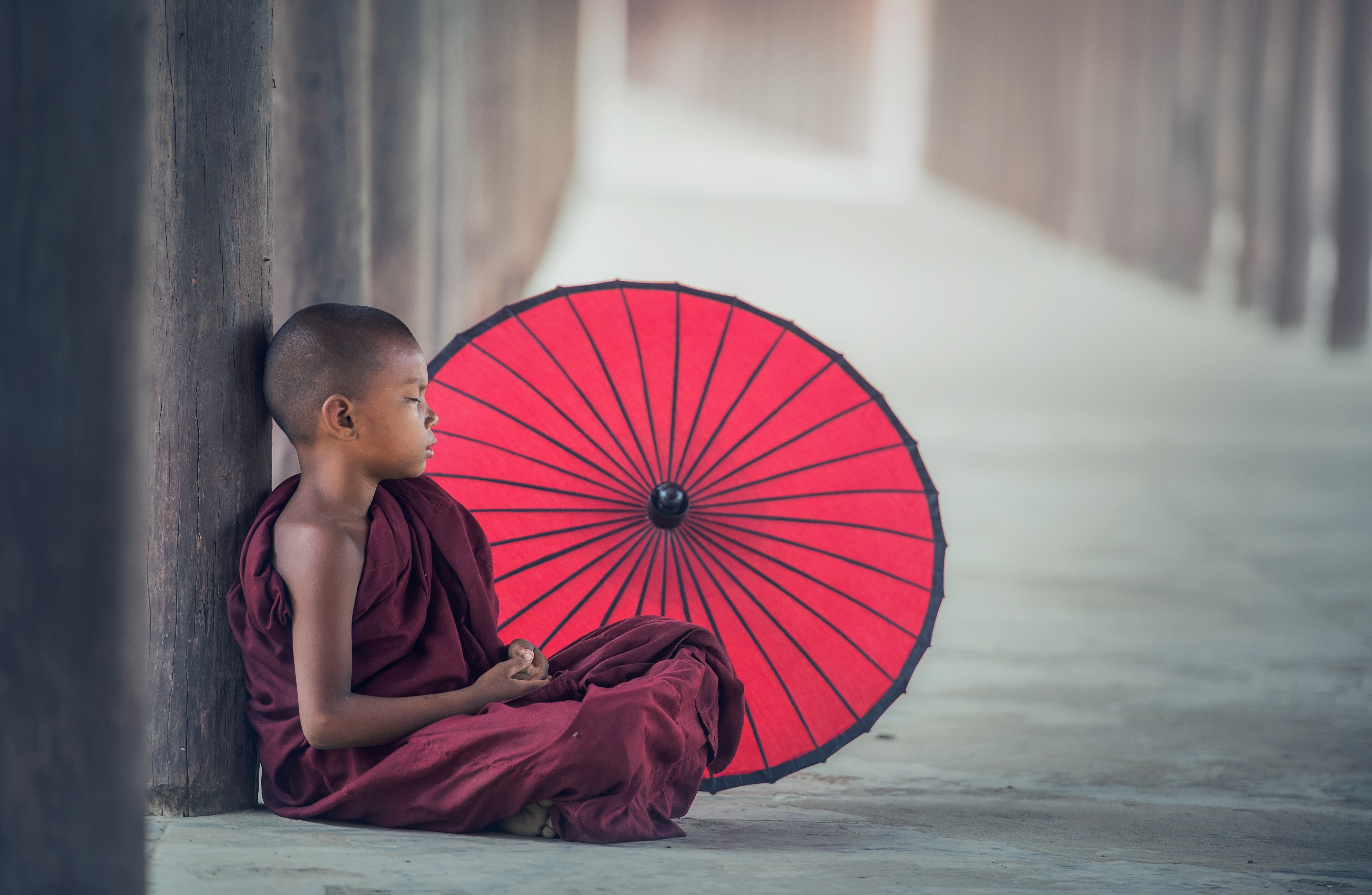 Monk Religious Boy Umbrella Buddhism 5000x3262