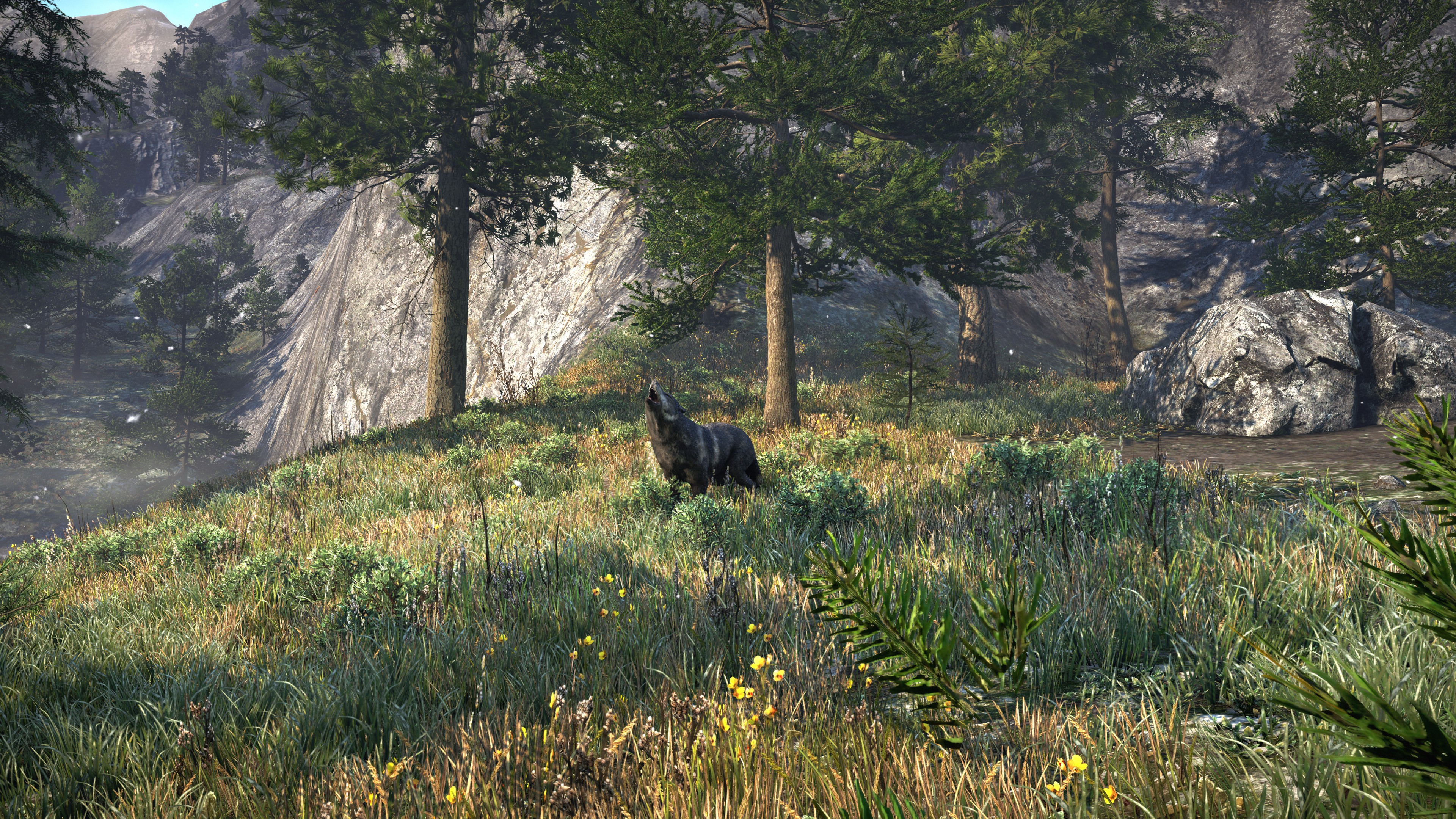 Far Cry 4 Wildlife Wolf 3840x2160