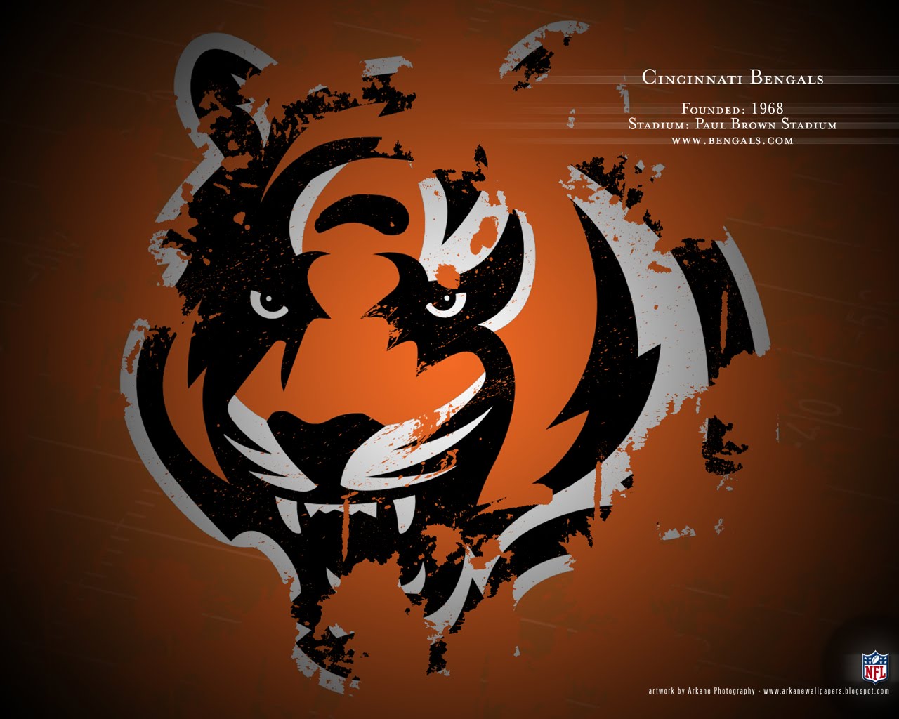 Sports Cincinnati Bengals 1280x1024