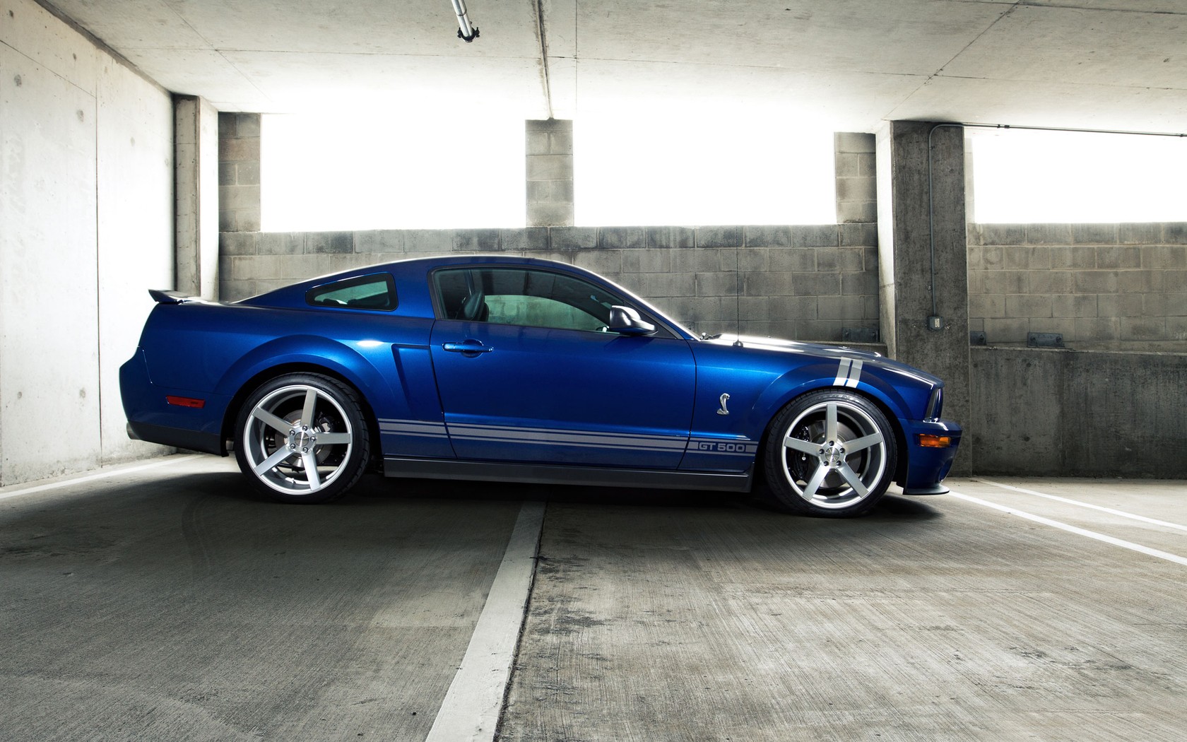Ford Ford Mustang Cobra 1680x1050