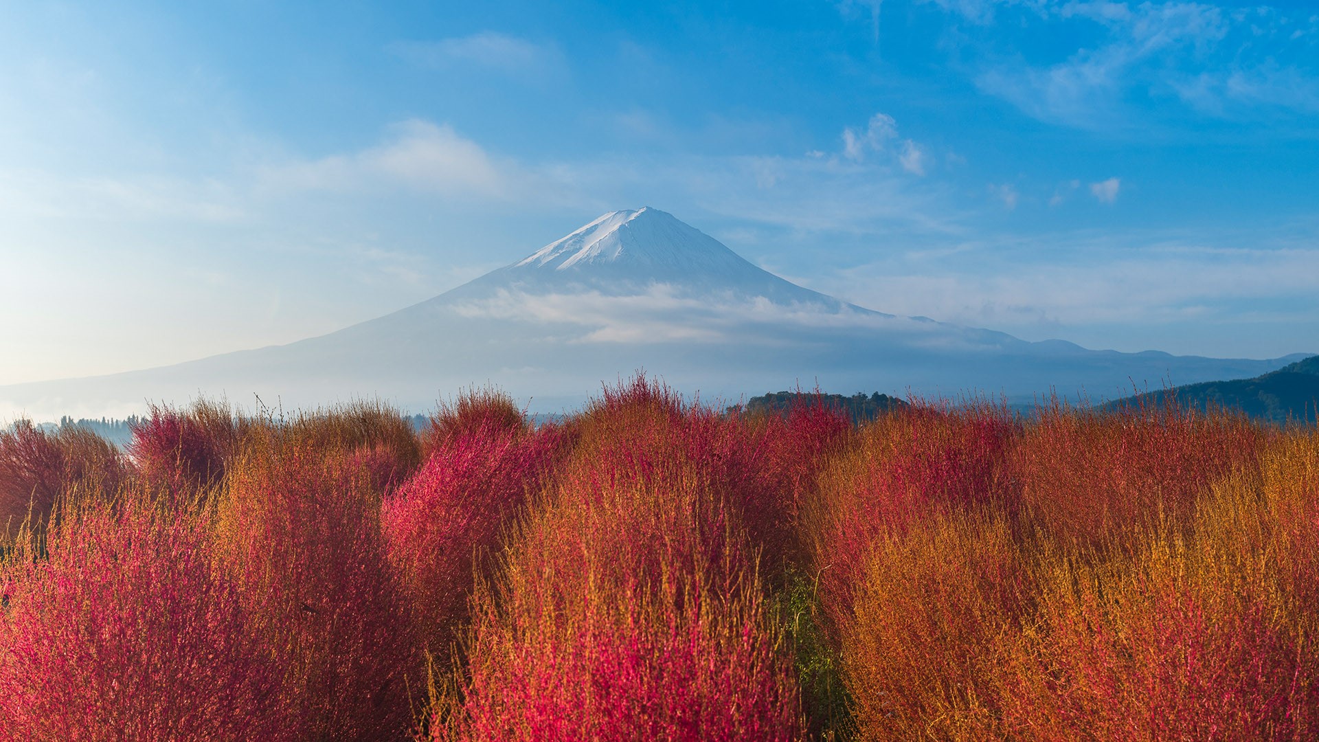 Nature Landscape Plants Clouds Sky Mountains Sunrise Bushes Yamanashi Mount Fuji Japan 1920x1080
