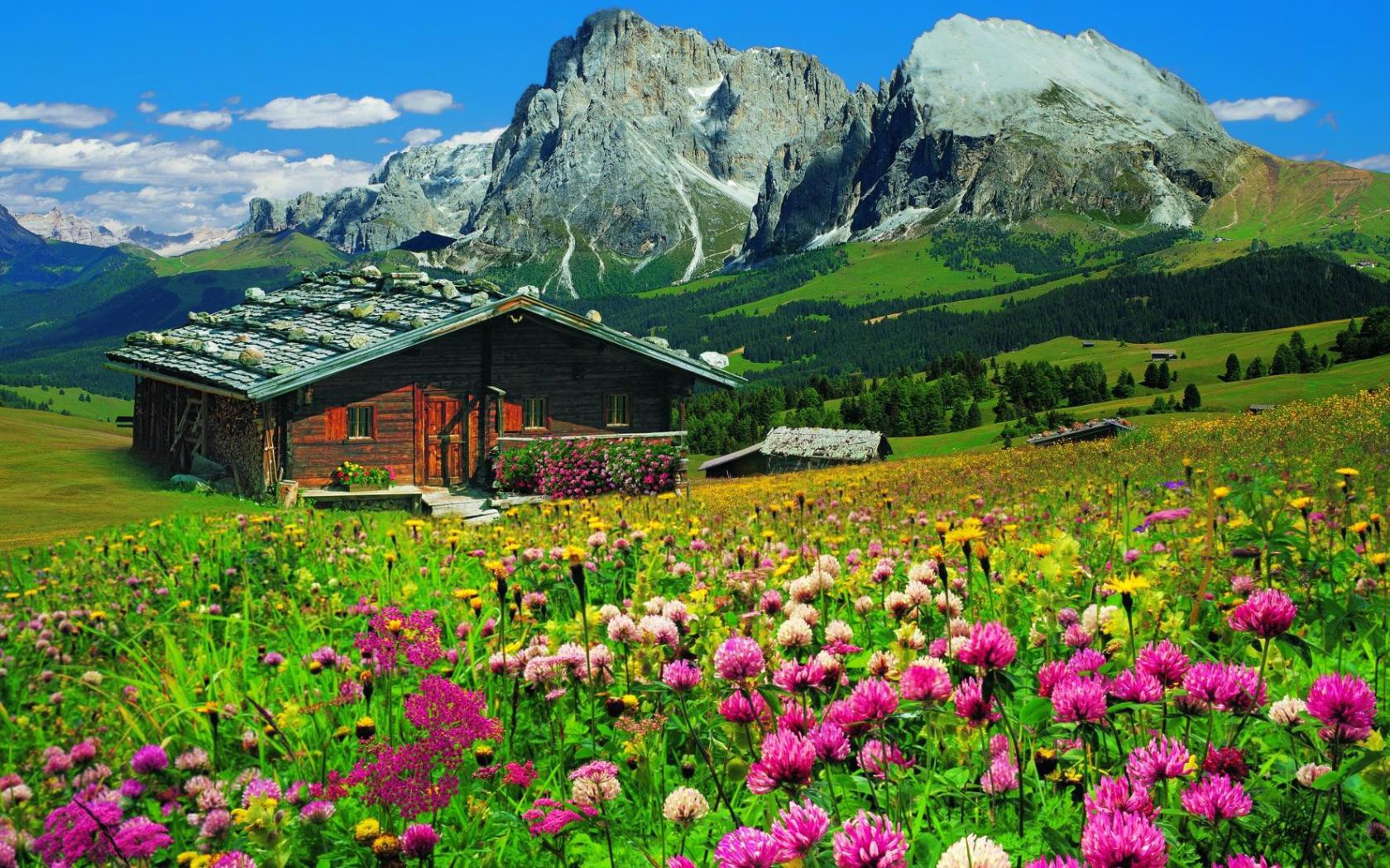 Landscape Mountain Grass House Flower Wildflower Green Field 1680x1050