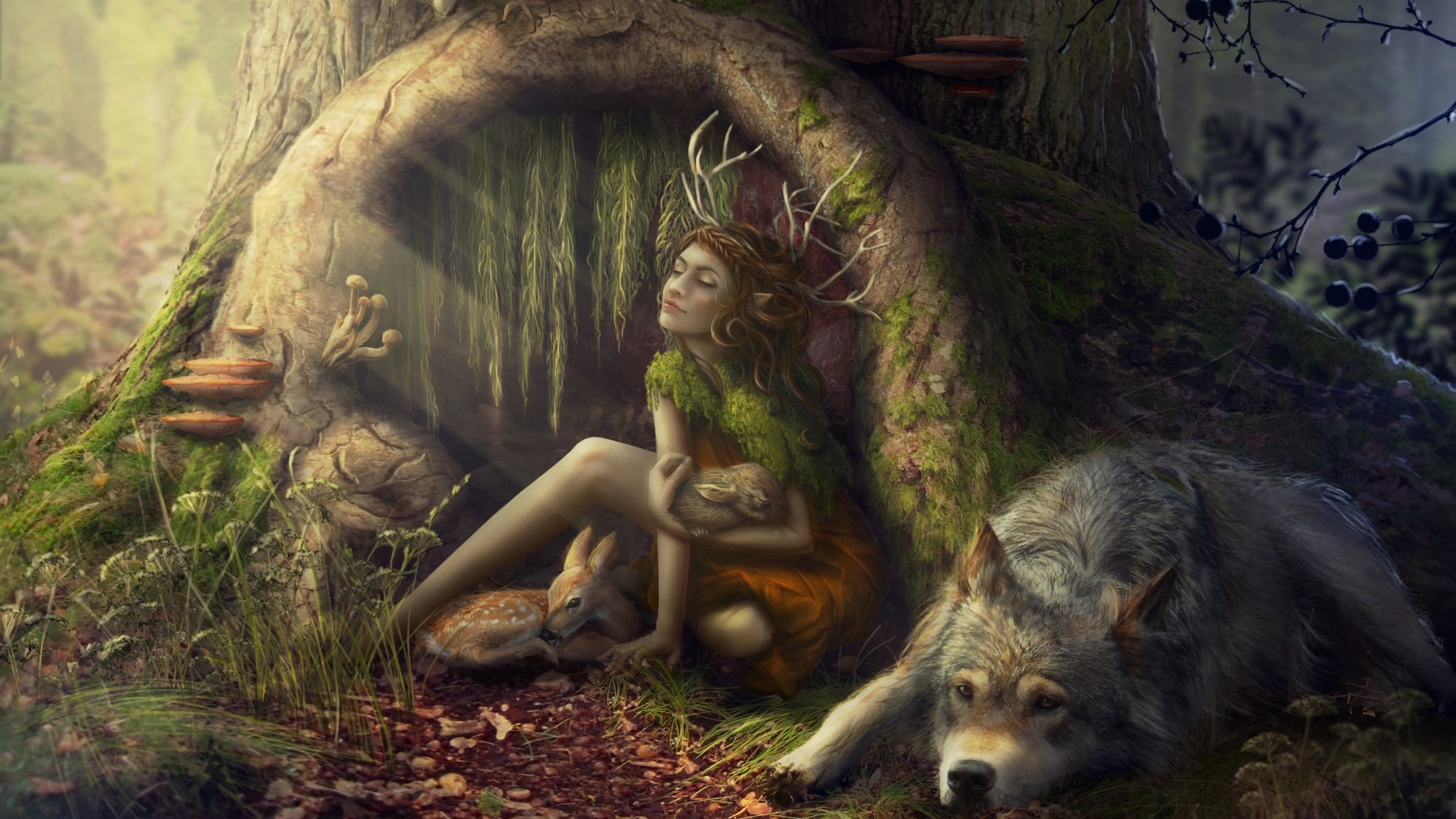 Fantasy Forest Sylvan Tree Wolf 2000x1125