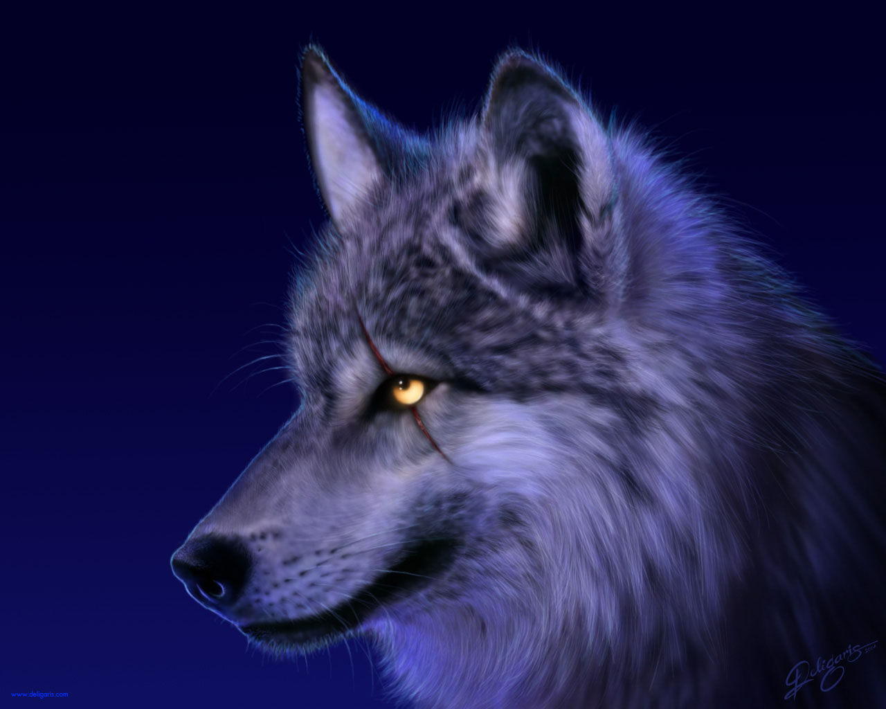 Animal Wolf 1280x1024