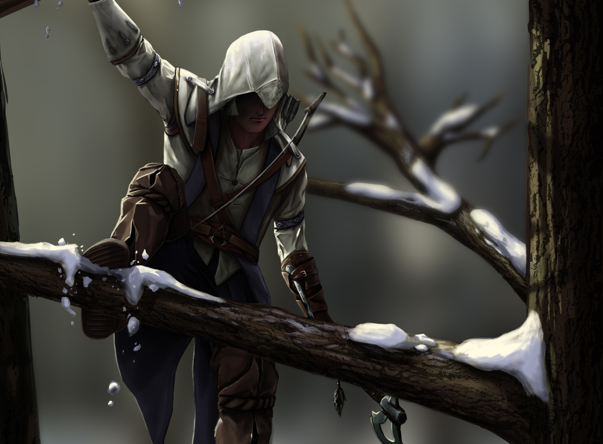 Video Game Assassins Creed Iii 1920x1416