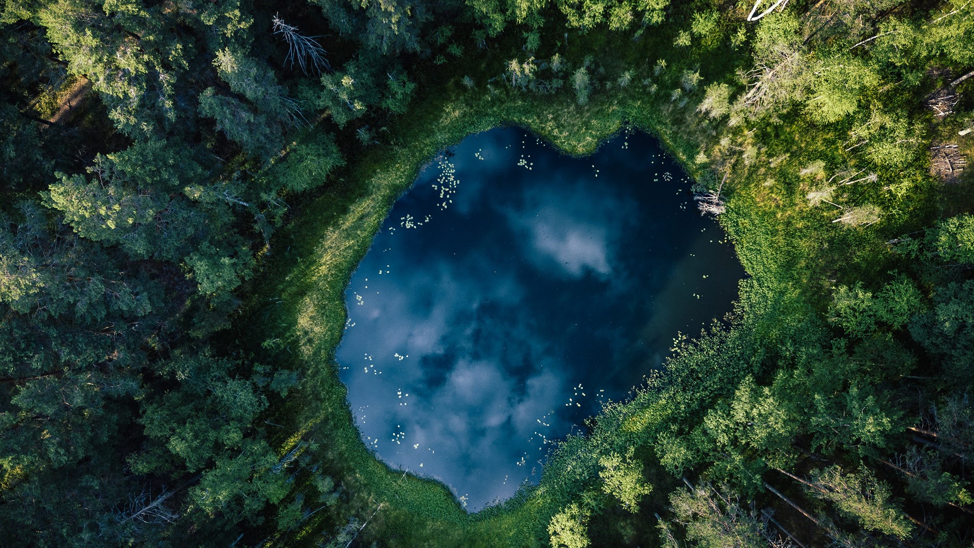 Nature Landscape Lake Trees Forest Water Grass Aerial View Finland Reflection Clouds 1920x1080