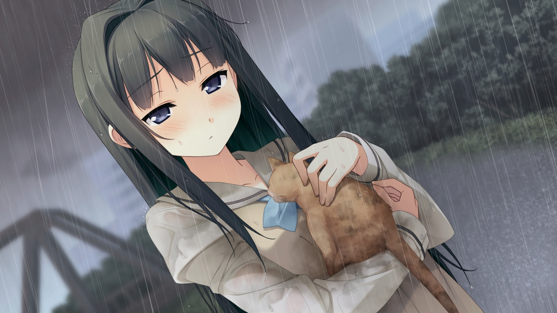 Anime Ayase Sayuki Black Hair Blue Eyes Cat Girl Long Hair Rain 1920x1080