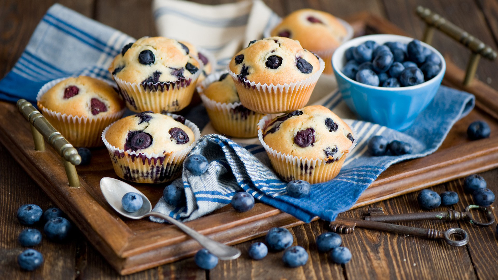 Food Blueberry Muffin 1920x1080