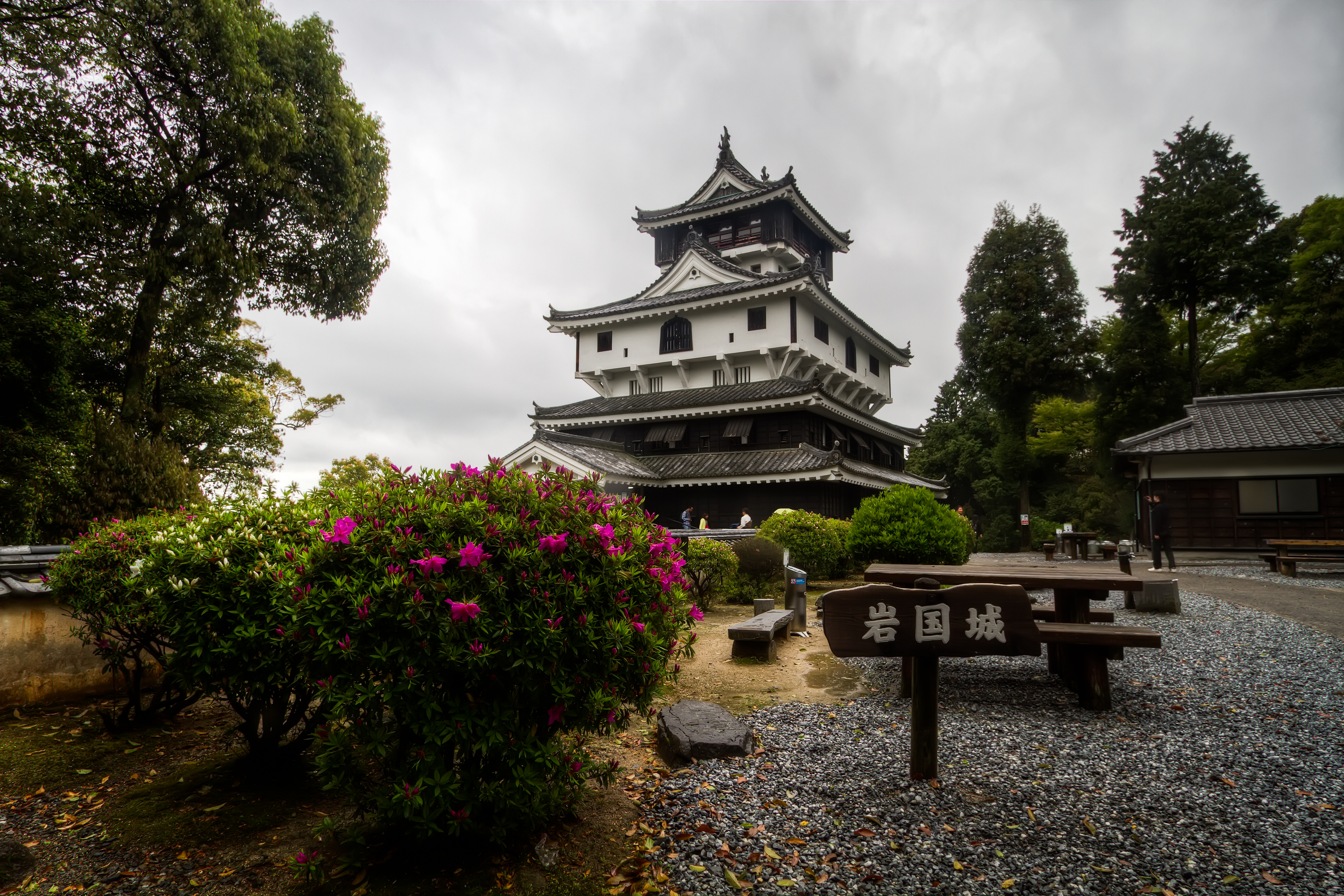 Architecture Blossom Bush Castle Hiroshima Iwakuni Castle Japan Spring Yamaguchi Prefecture 5184x3456