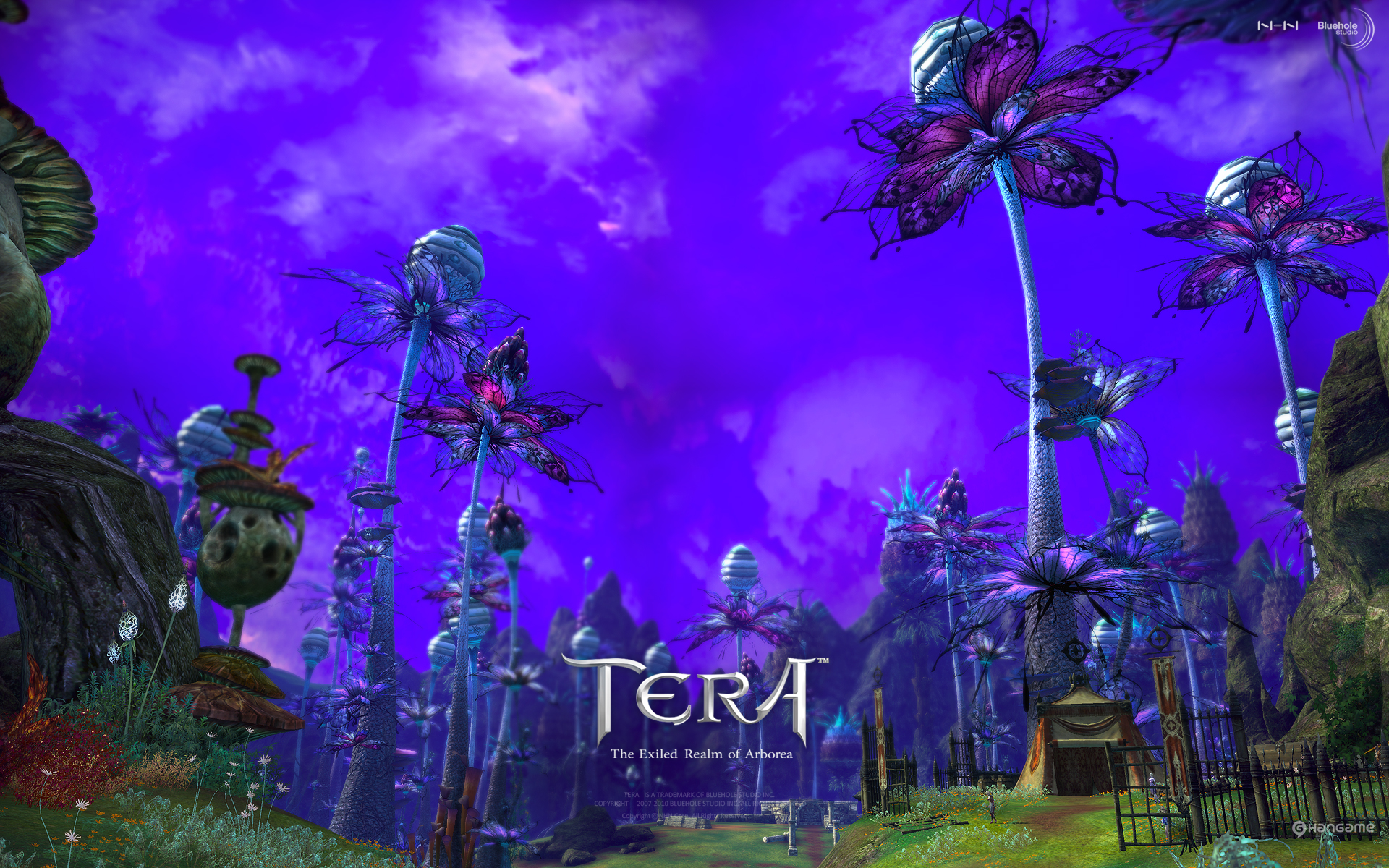 Video Game Tera 1920x1200