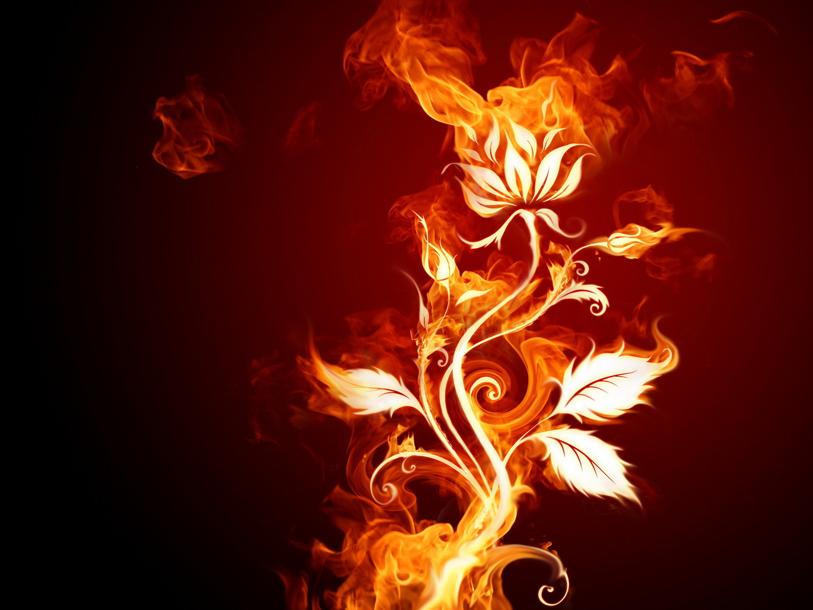 Flower Elemental Fire 1600x1200