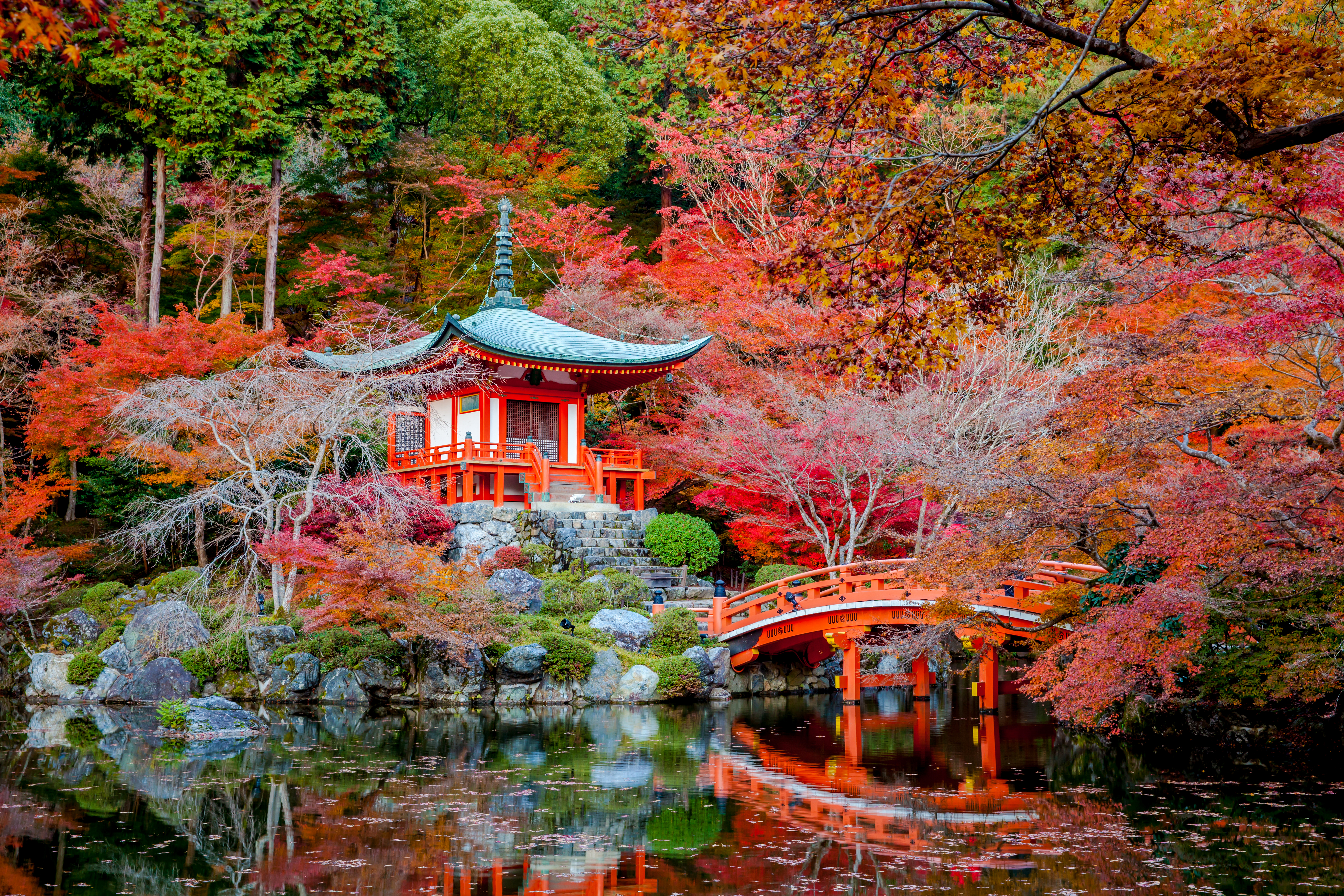 Japanese Garden Fall Tree Bridge Shrine Reflection Temple 5616x3744