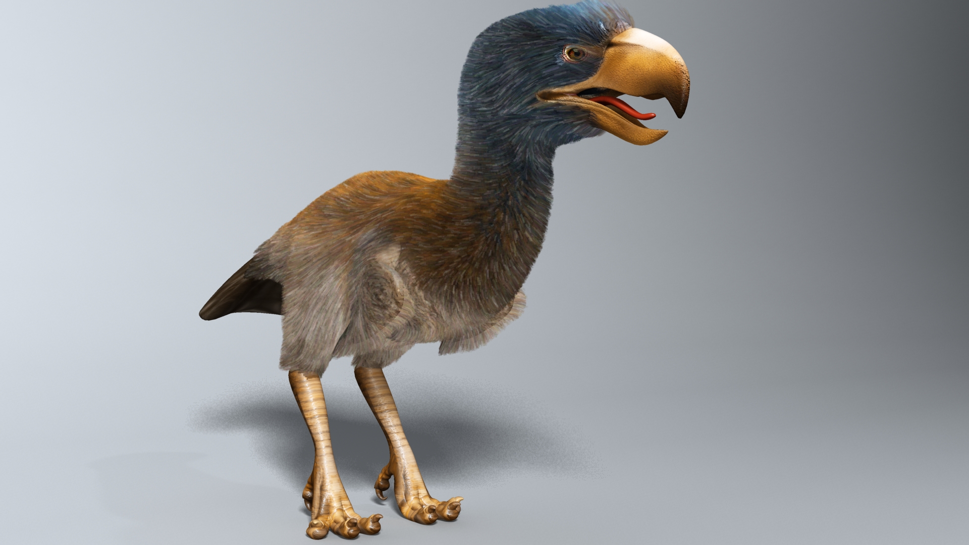 Animal Bird Creature Extinct 1920x1080