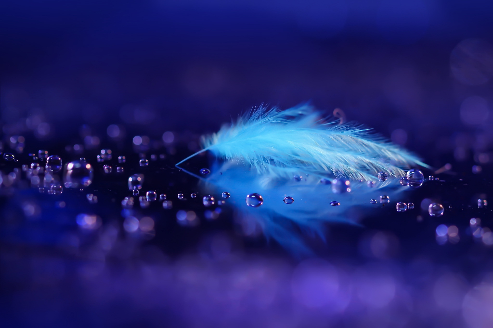 Feather Close Up Blue Reflection Water Drop 2048x1365