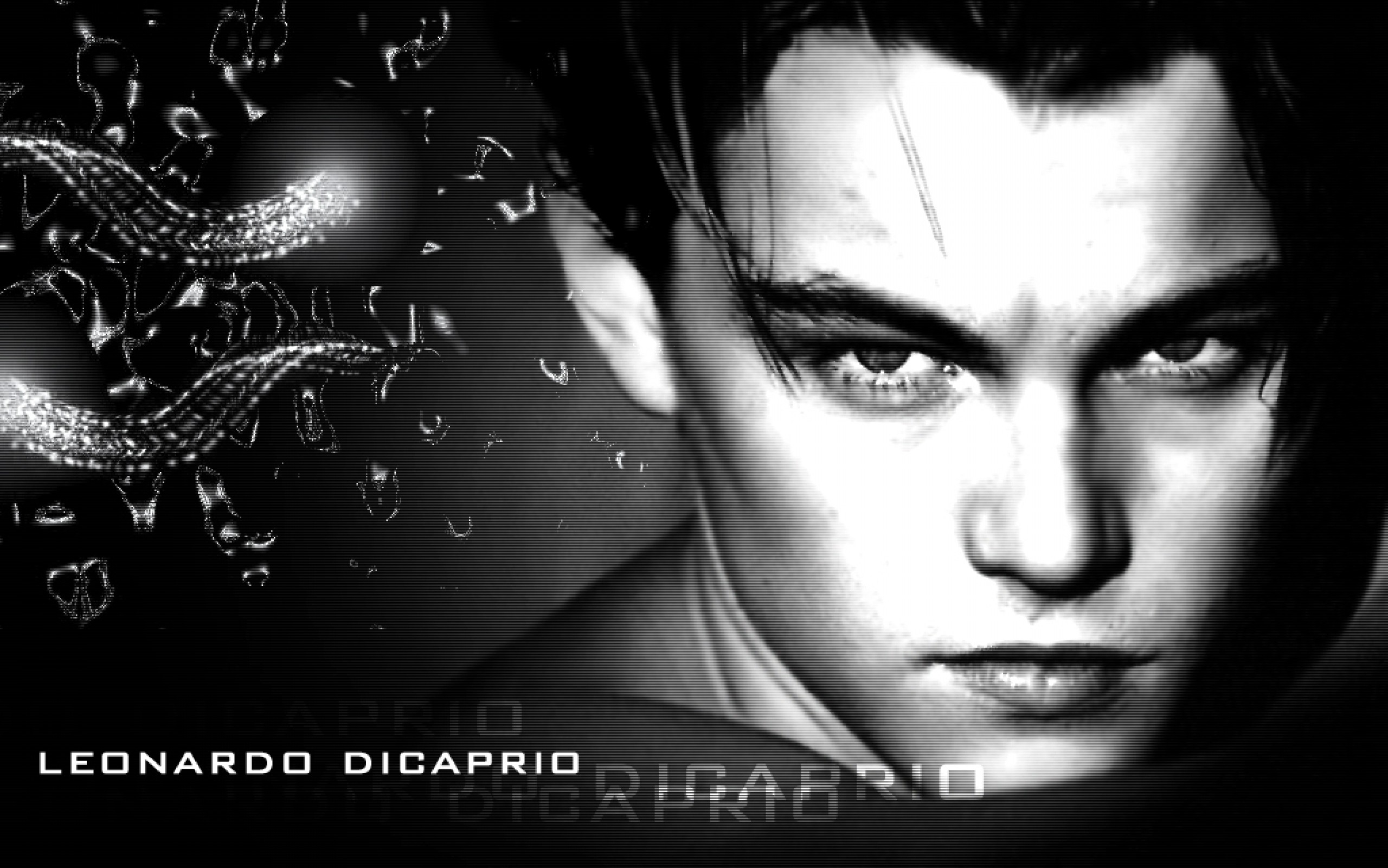 Leonardo Dicaprio Actor American 2560x1600