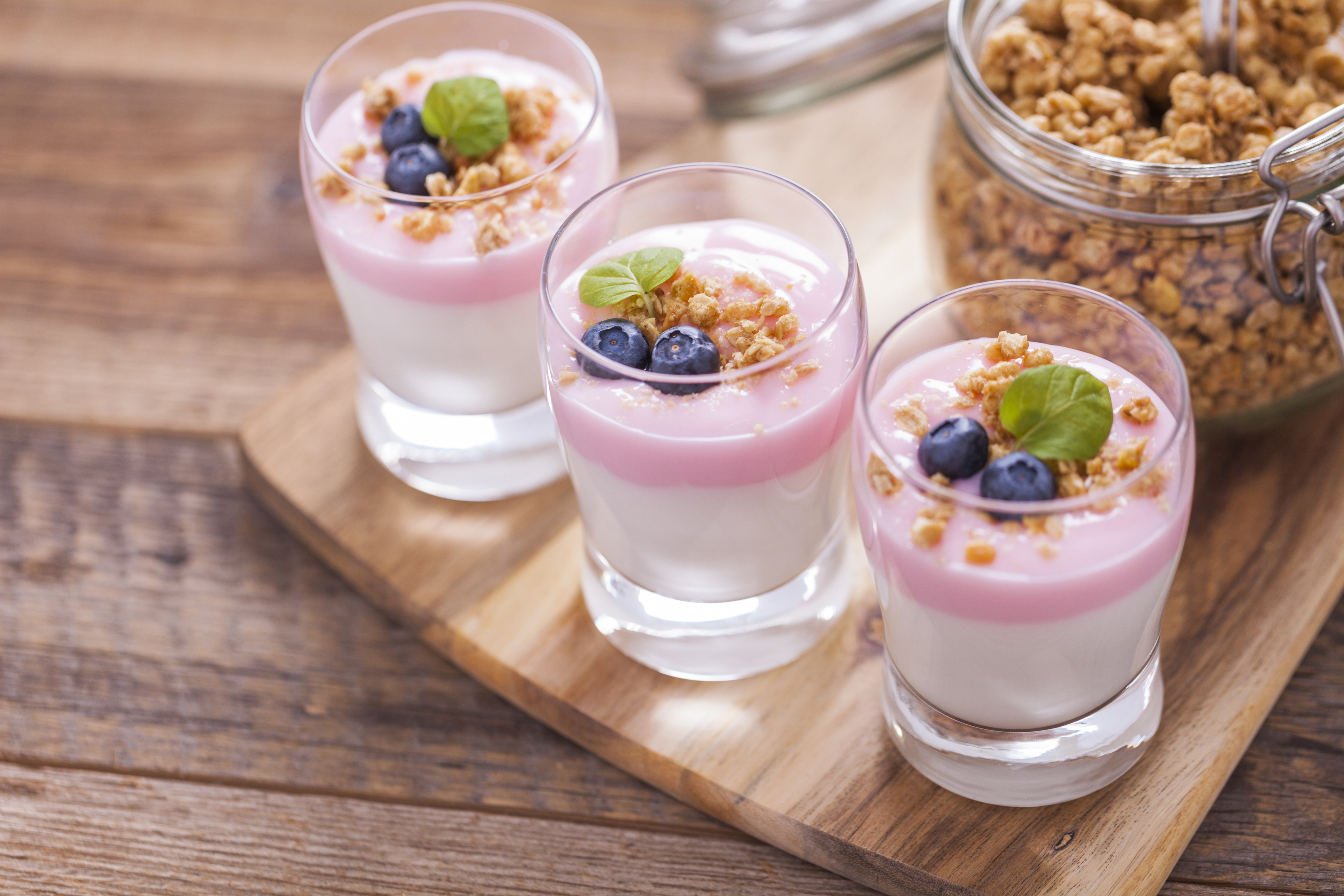 Yogurt Dessert Muesli Blueberry 7000x4667
