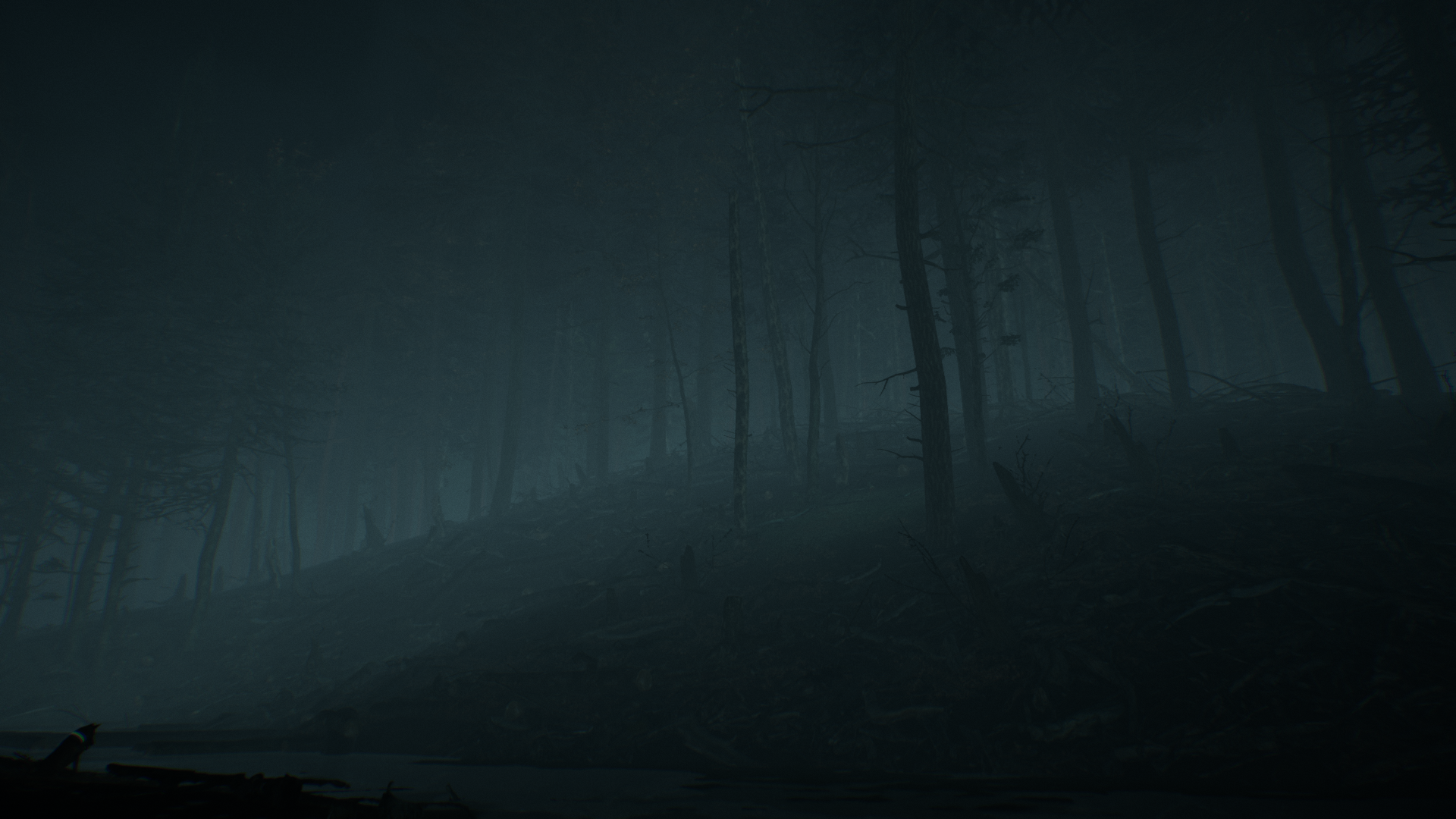 Blair Witch Video Game Horror Screen Shot 1920x1080