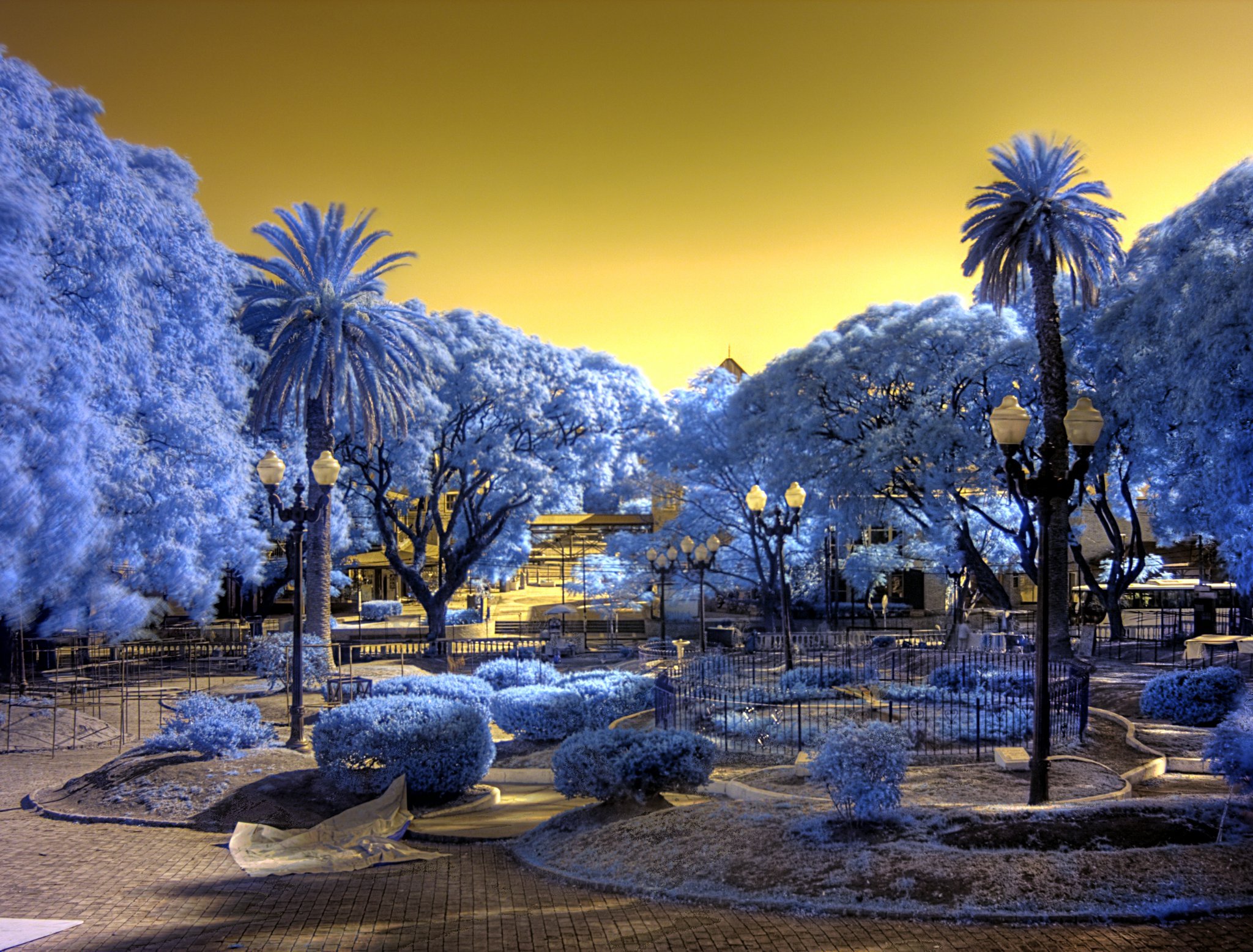 Photography Infrared 2048x1557