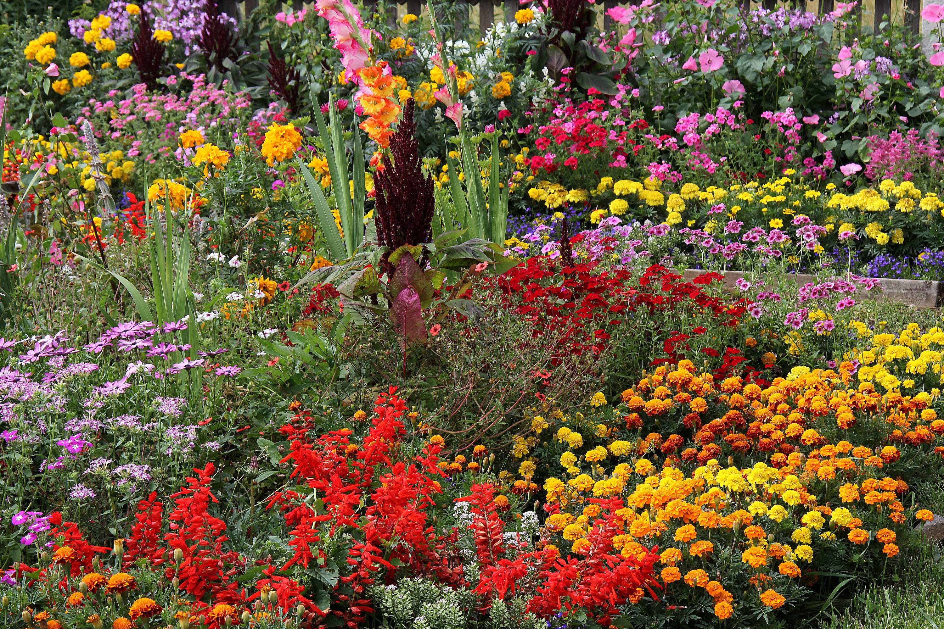 Colorful Colors English Garden Flower Garden 3000x2000