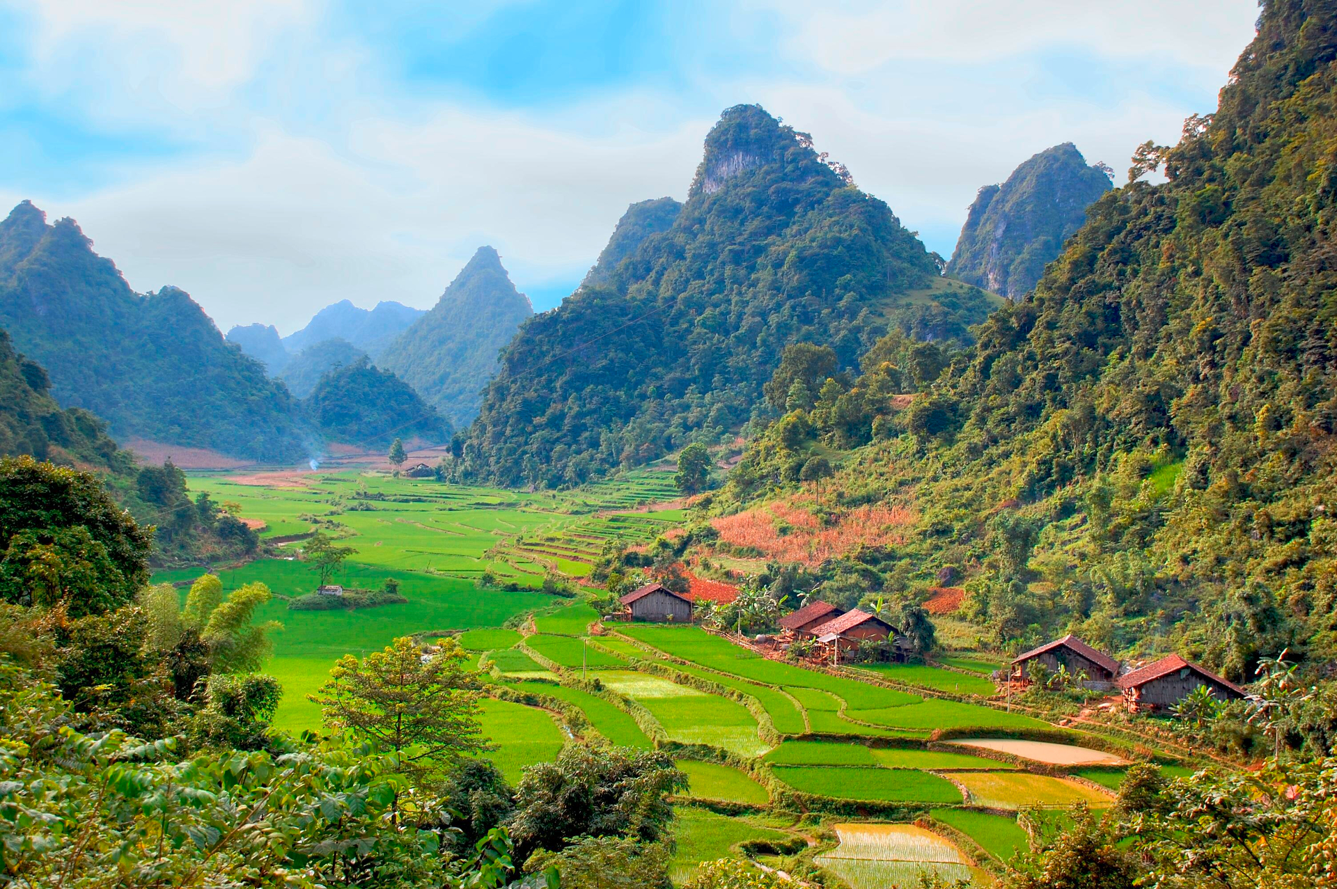 Earth Forest Landscape Mountain Rice Terrace Vietnam Village 1920x1277