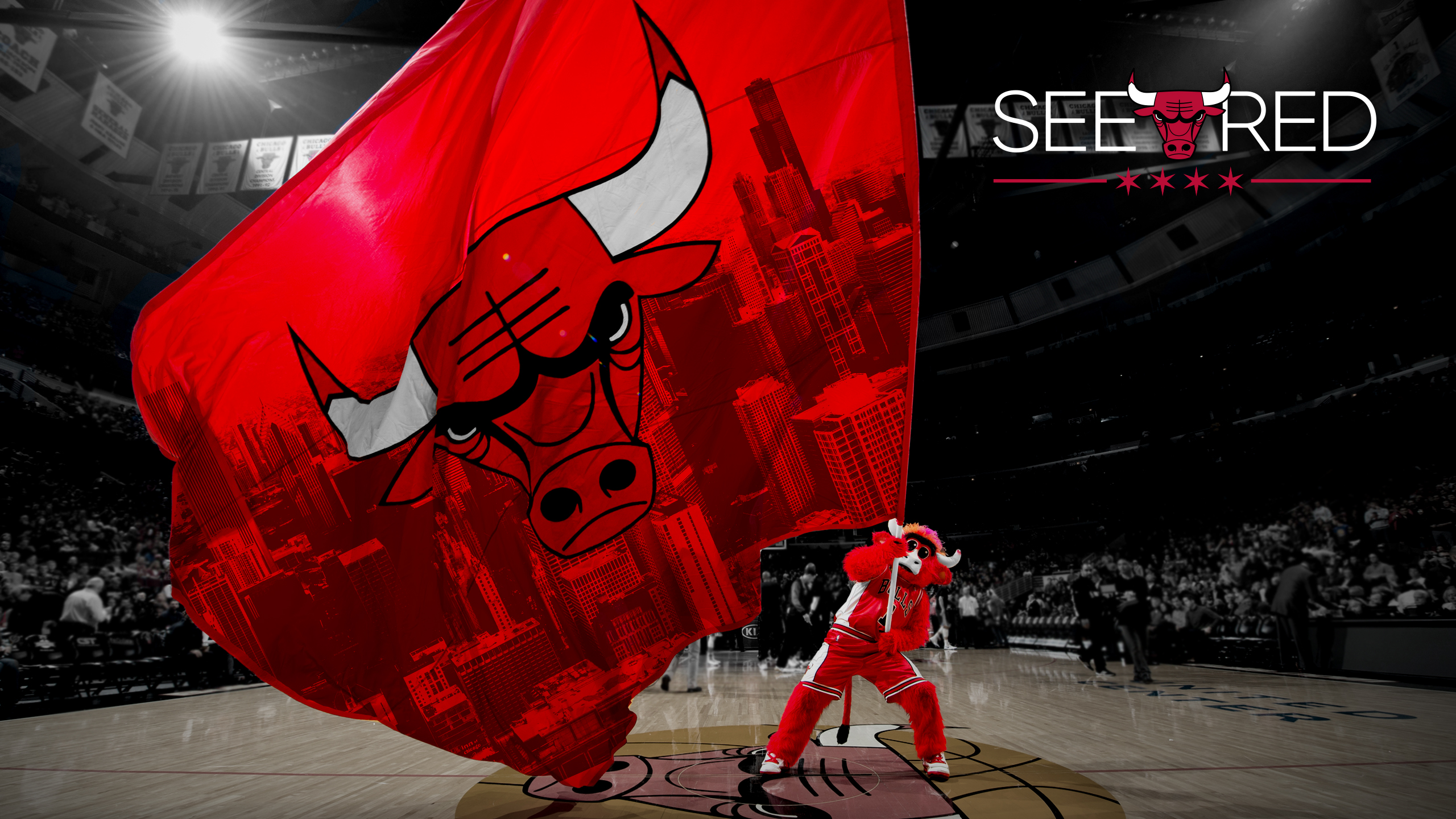 Sports Chicago Bulls 2560x1440