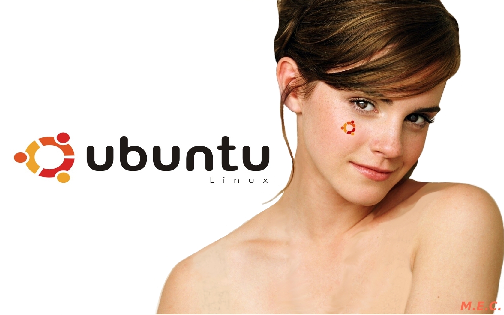 Ubuntu 1680x1050