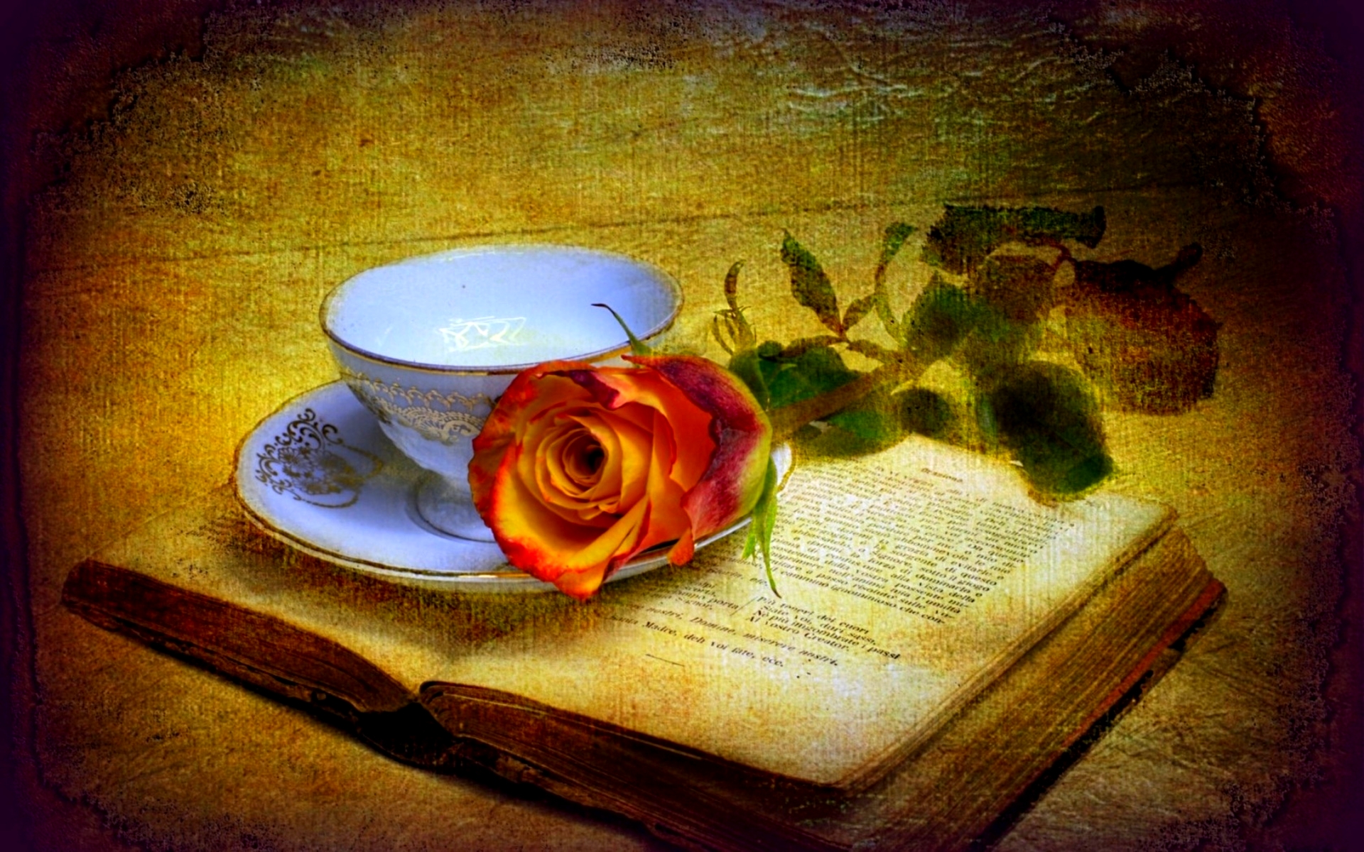 Artistic Painting Still Life Vintage Rose Cup Book 1920x1200