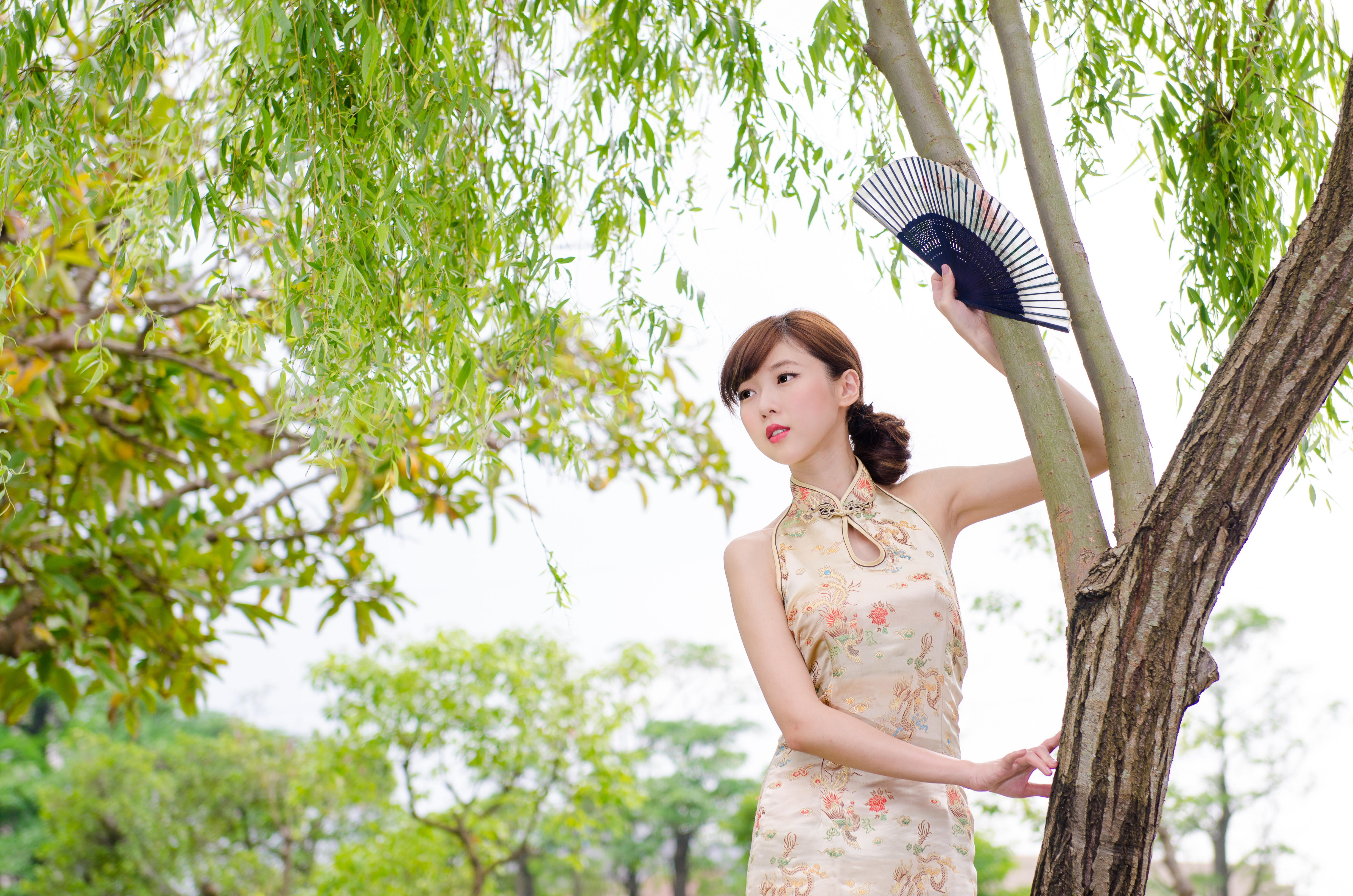 Asian Chen Qiaoqiao Fan Girl Model Park Taiwanese Tree 4928x3264