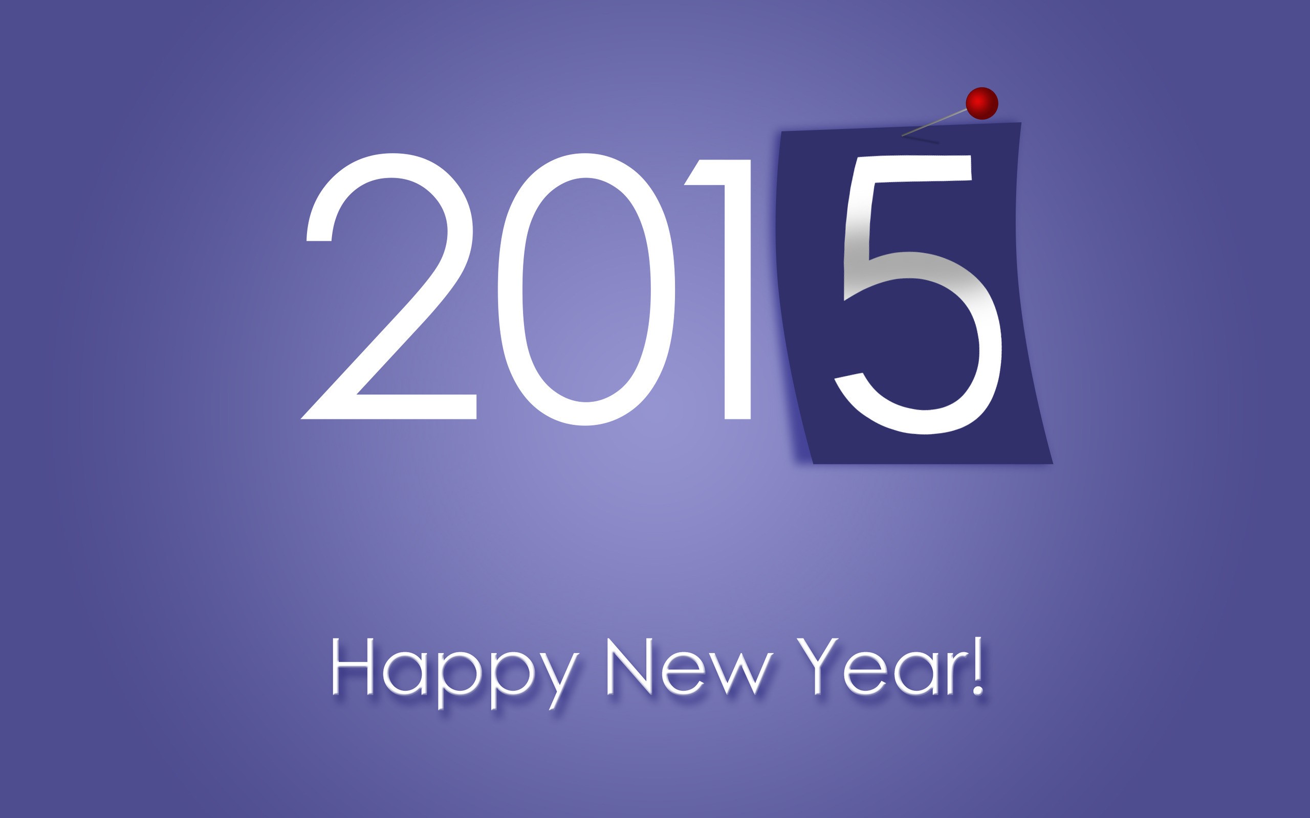 New Year New Year 2015 Holiday 2560x1600