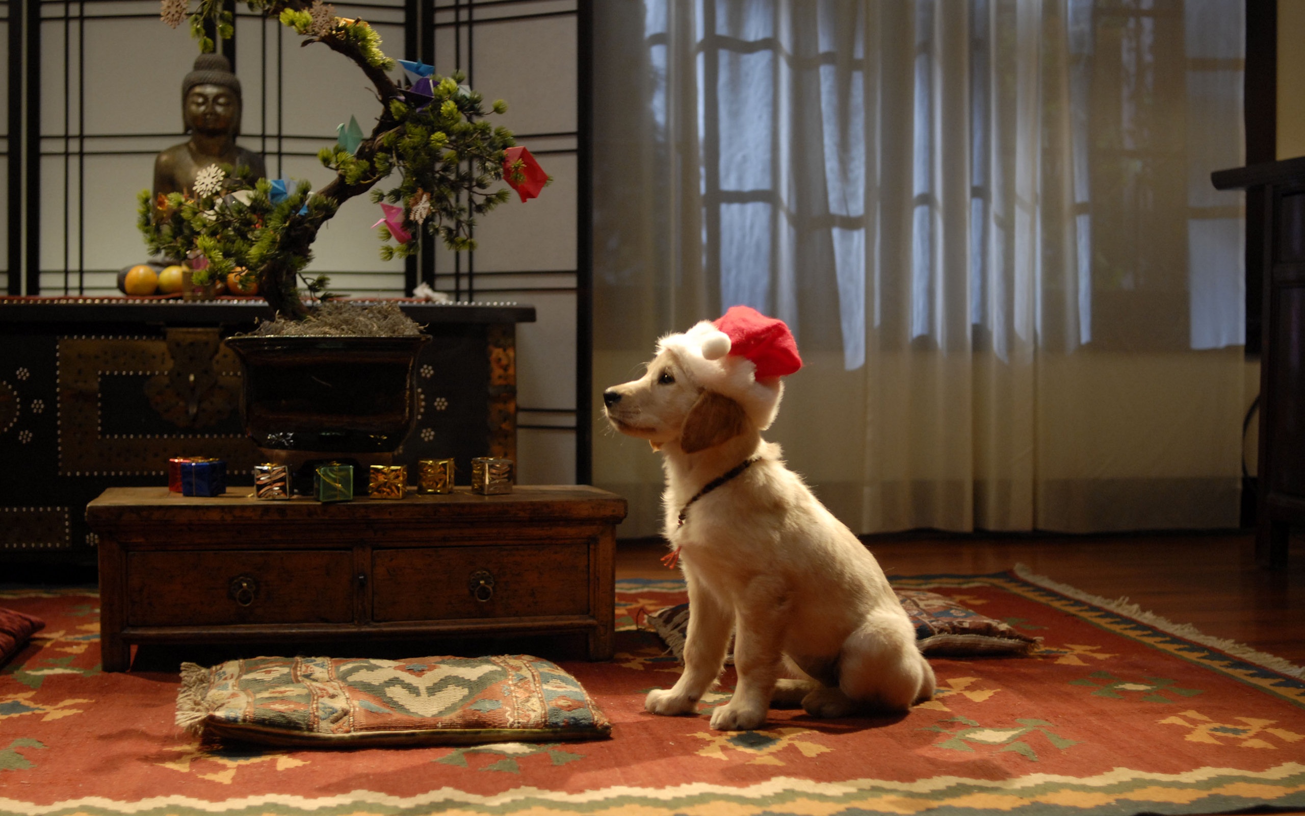 Christmas Dog Labrador Retriever Santa Hat Bonsai 2560x1600