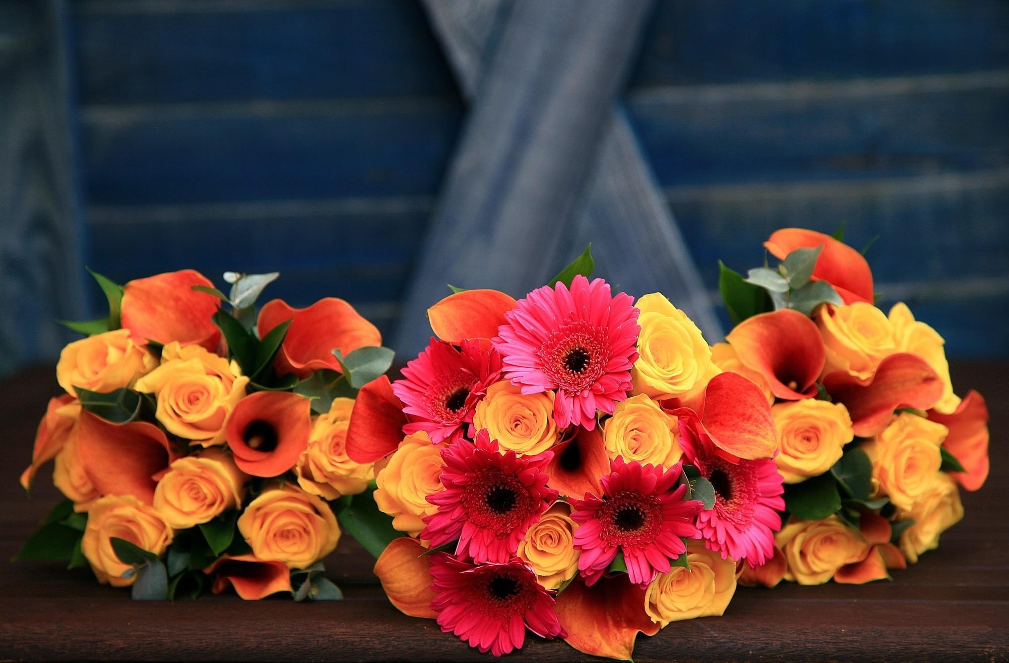 Flower Bouquet Rose Daisy Gerbera Calla Lily Colors Colorful Orange Flower Pink Flower Yellow Flower 2040x1340