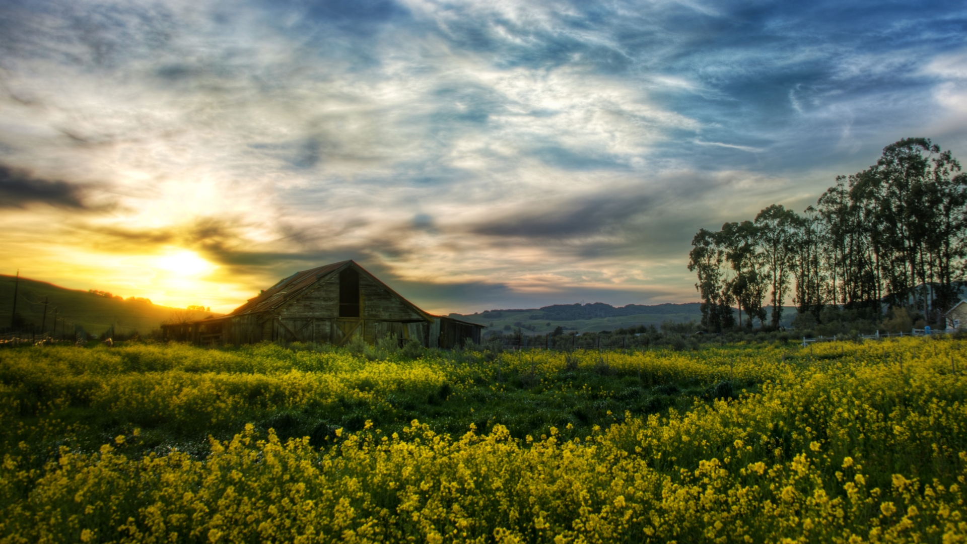 Man Made Barn 1920x1080