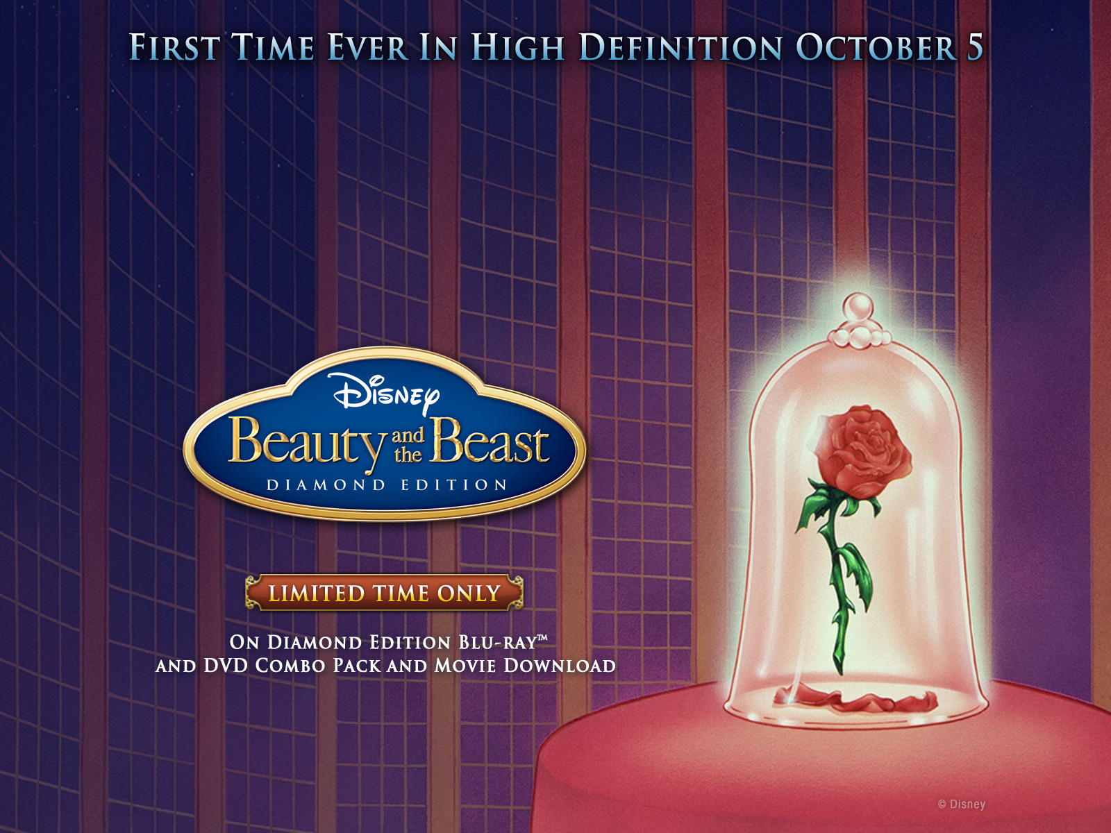 Beauty And The Beast Beast Disney Cartoon 1600x1200