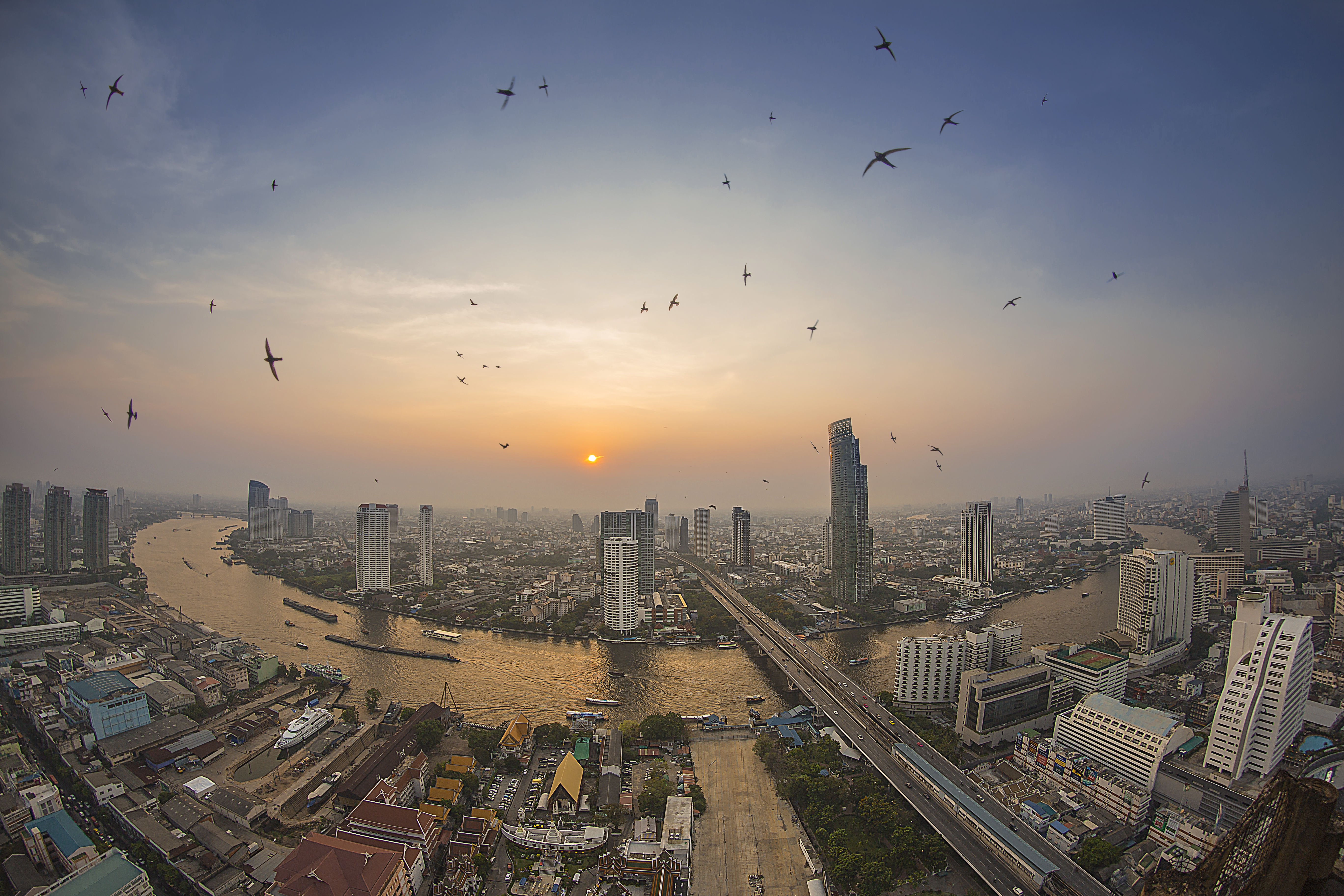 Bangkok Thailand Megapolis Bird Swallow Flying River Sun Sky Sunset 5472x3648