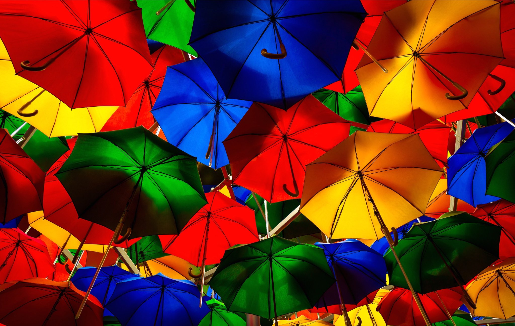Colorful Colors Umbrella 2048x1299