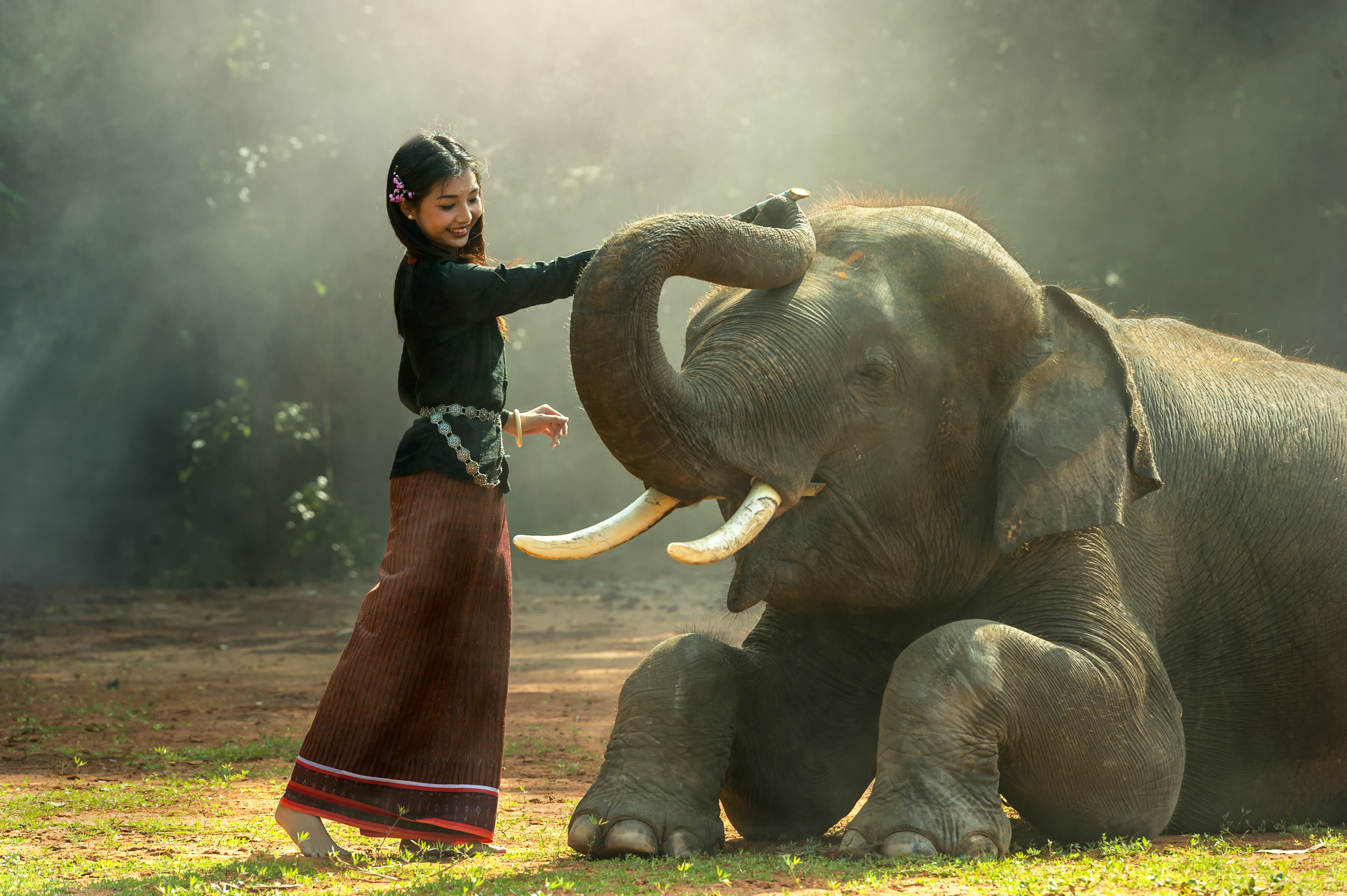 Woman Elephant Animal Asian Long Hair Cambodia 4256x2832